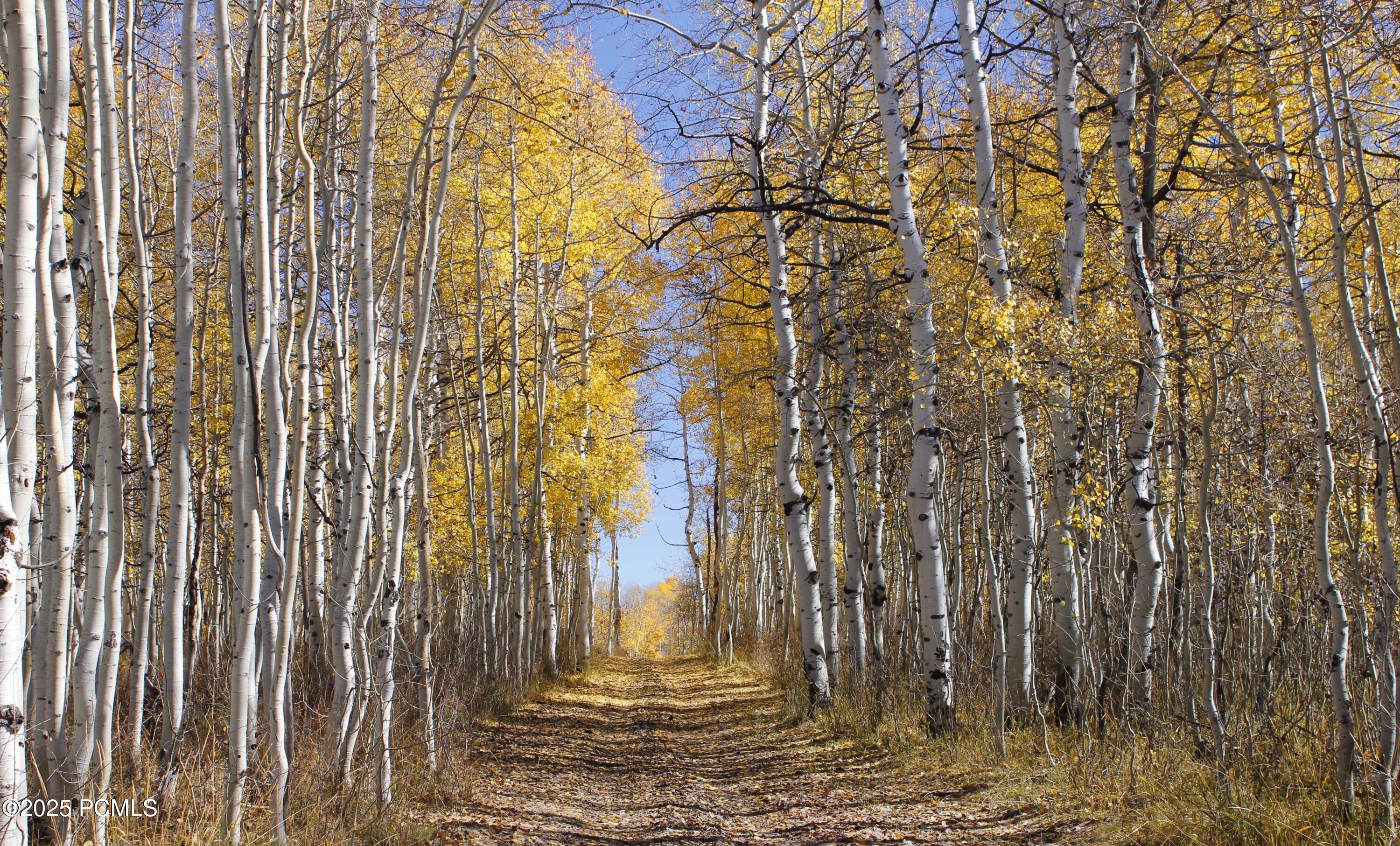 Kamas, Utah 84036, United States, ,Land,Active,191500