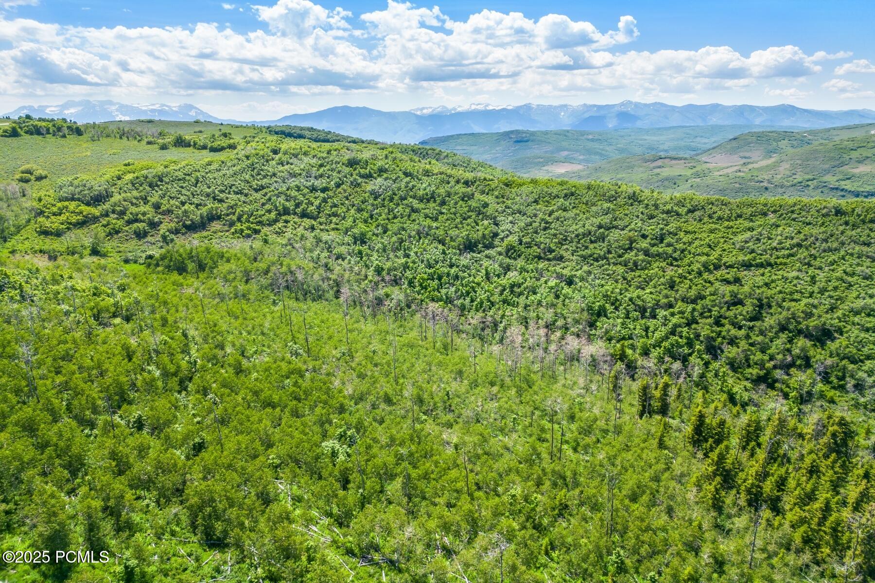 Kamas, Utah 84036, United States, ,Land,Active,191500