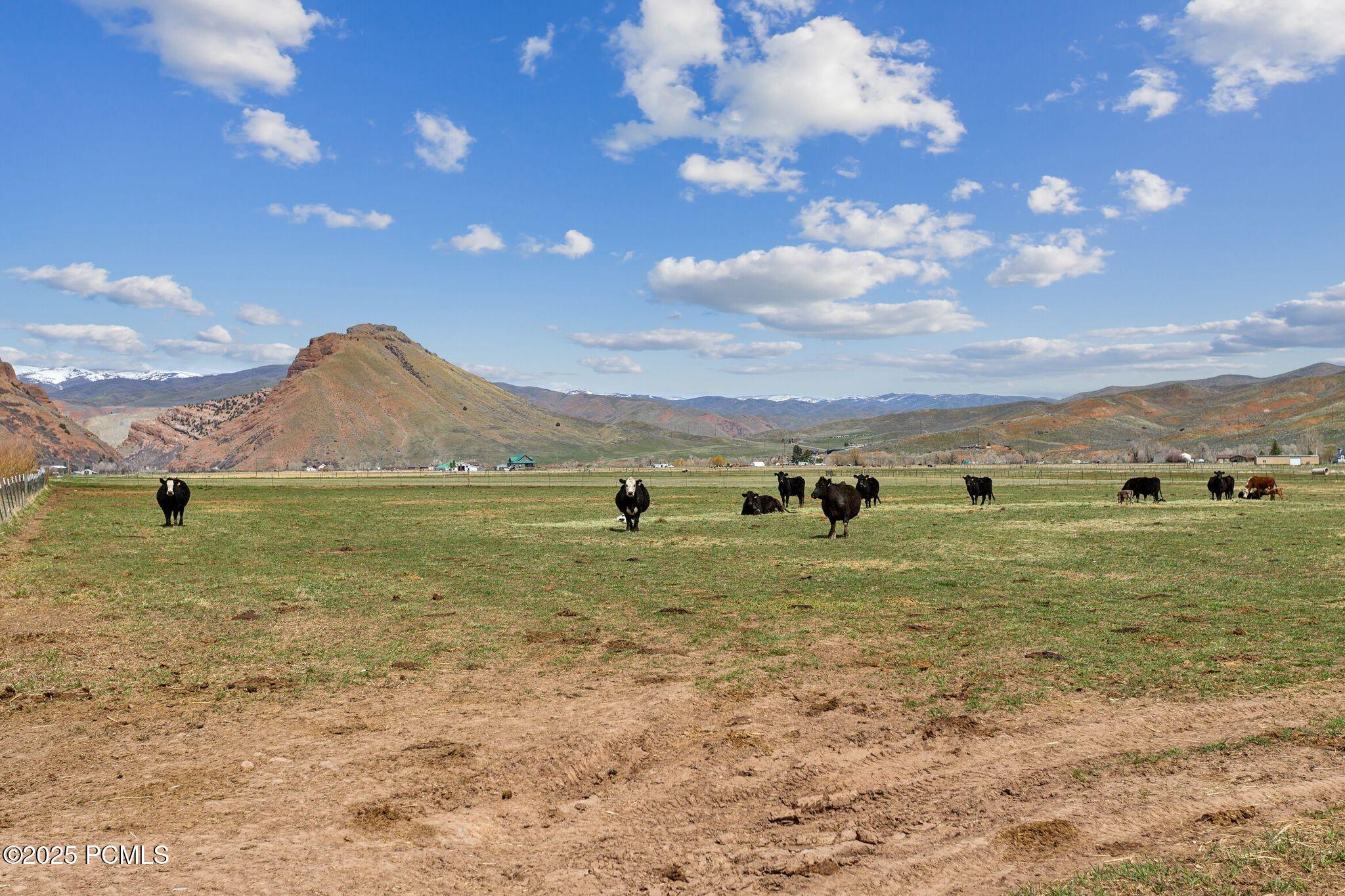 1450 N West Henefer Road, Henefer, Utah image 28