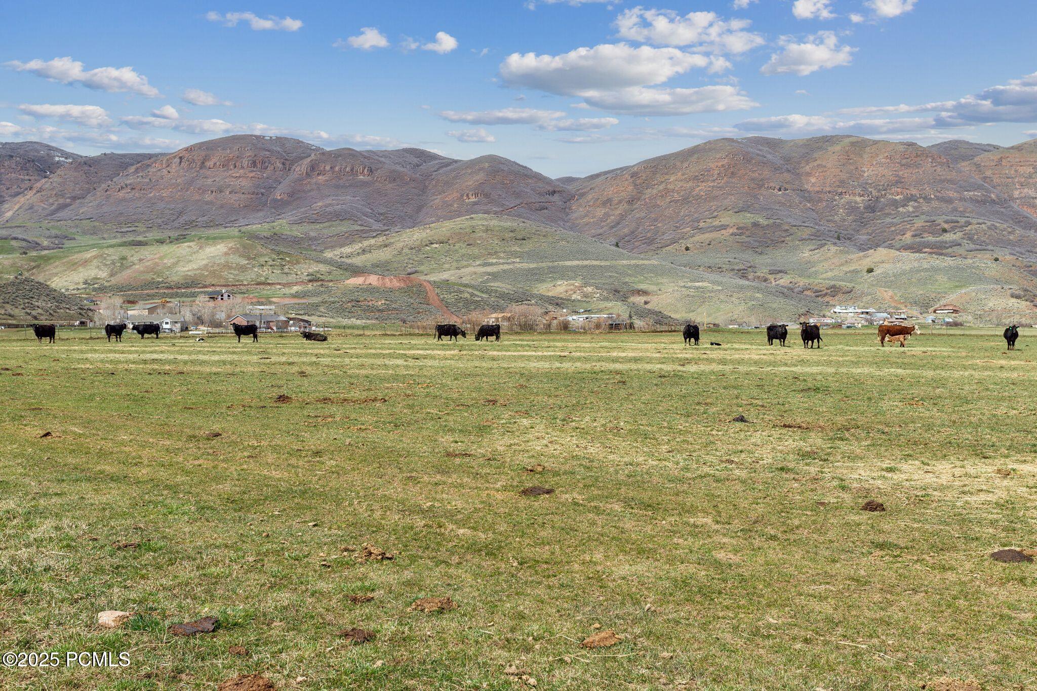 1450 N West Henefer Road, Henefer, Utah image 29