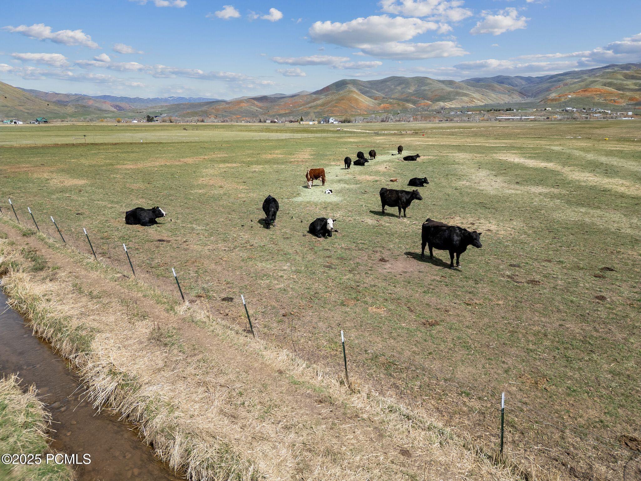 1450 N West Henefer Road, Henefer, Utah image 27