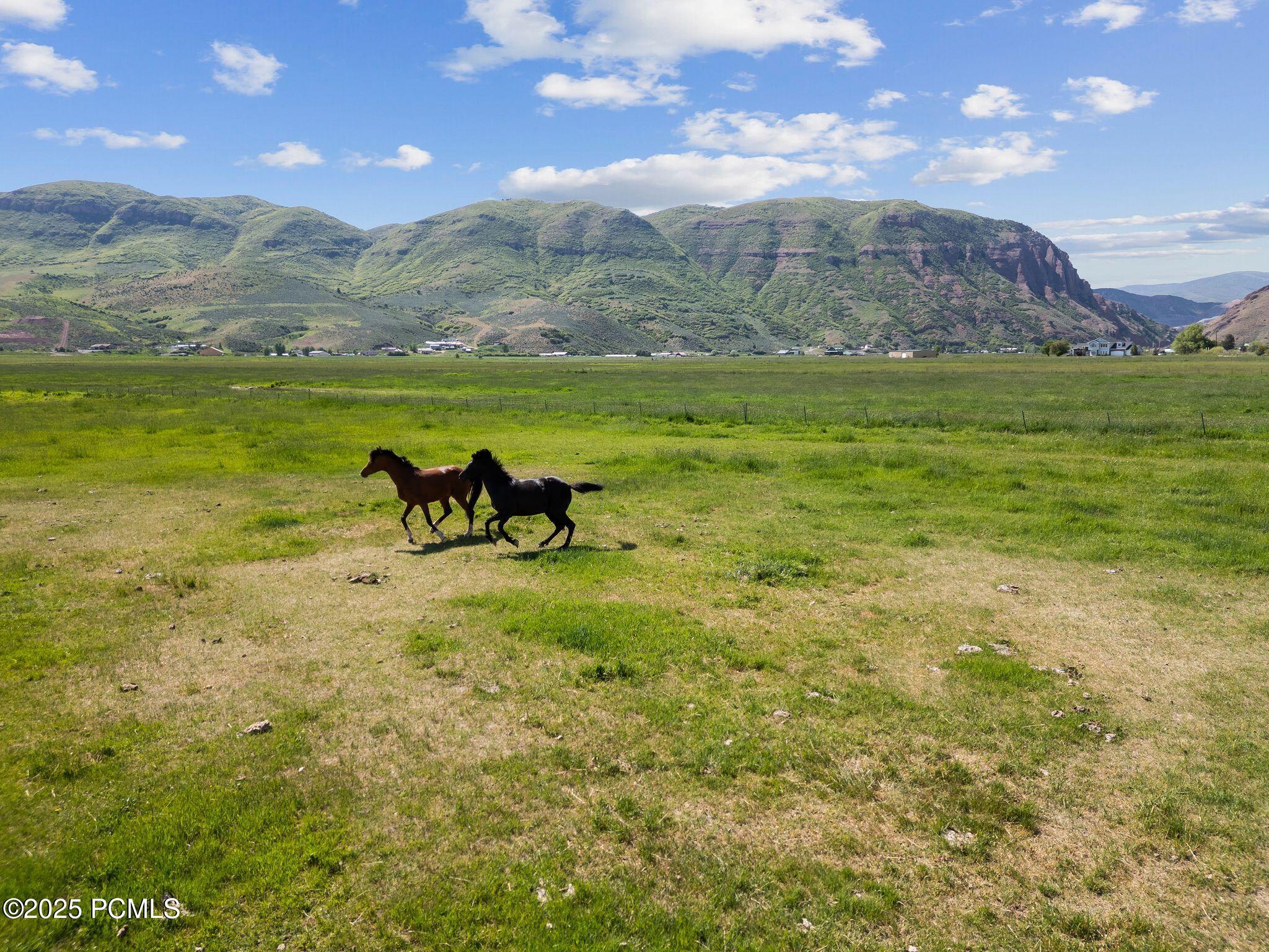 1450 N West Henefer Road, Henefer, Utah image 23