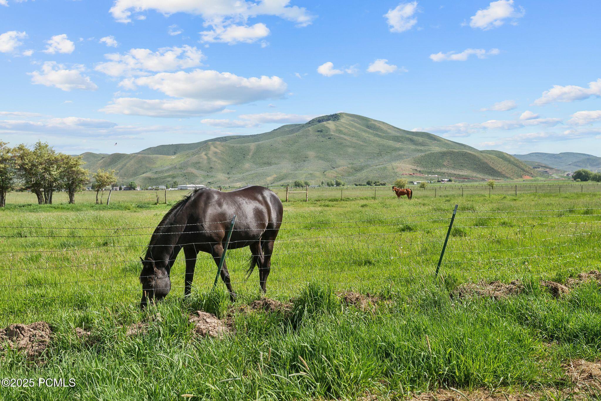 1450 N West Henefer Road, Henefer, Utah image 24