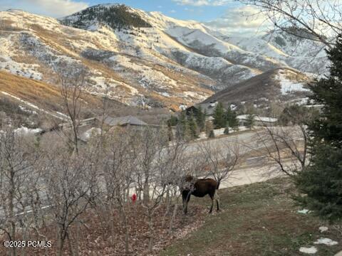 Salt Lake City, Utah 84108, United States, 5 Bedrooms Bedrooms, ,5 BathroomsBathrooms,Residential,Active,230910