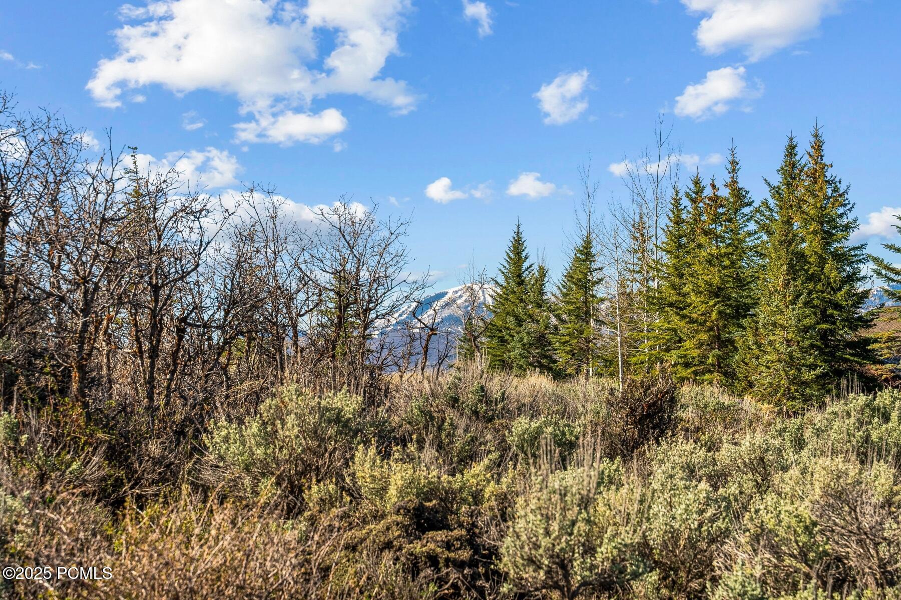 Park City, Utah 84098, United States, ,Land,Active,81237