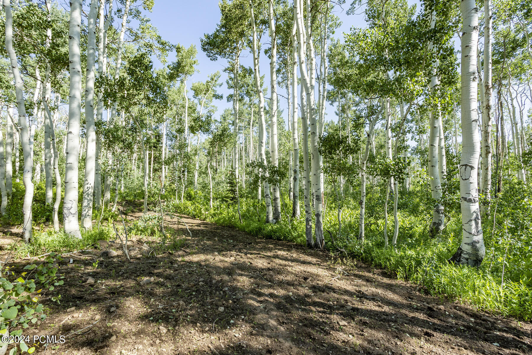 5156 N Pebble Drive, Midway, Utah image 1