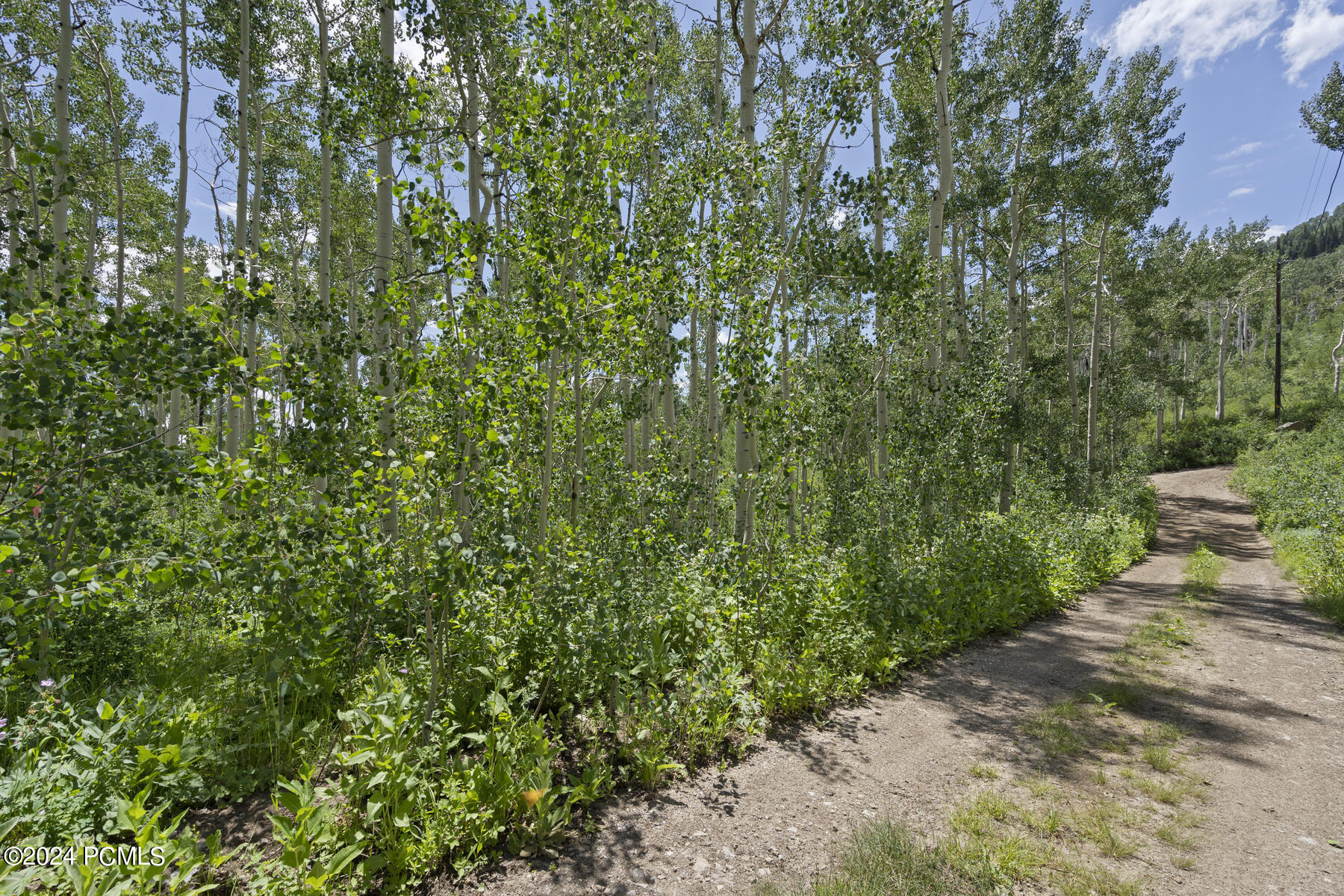 5156 N Pebble Drive, Midway, Utah image 30