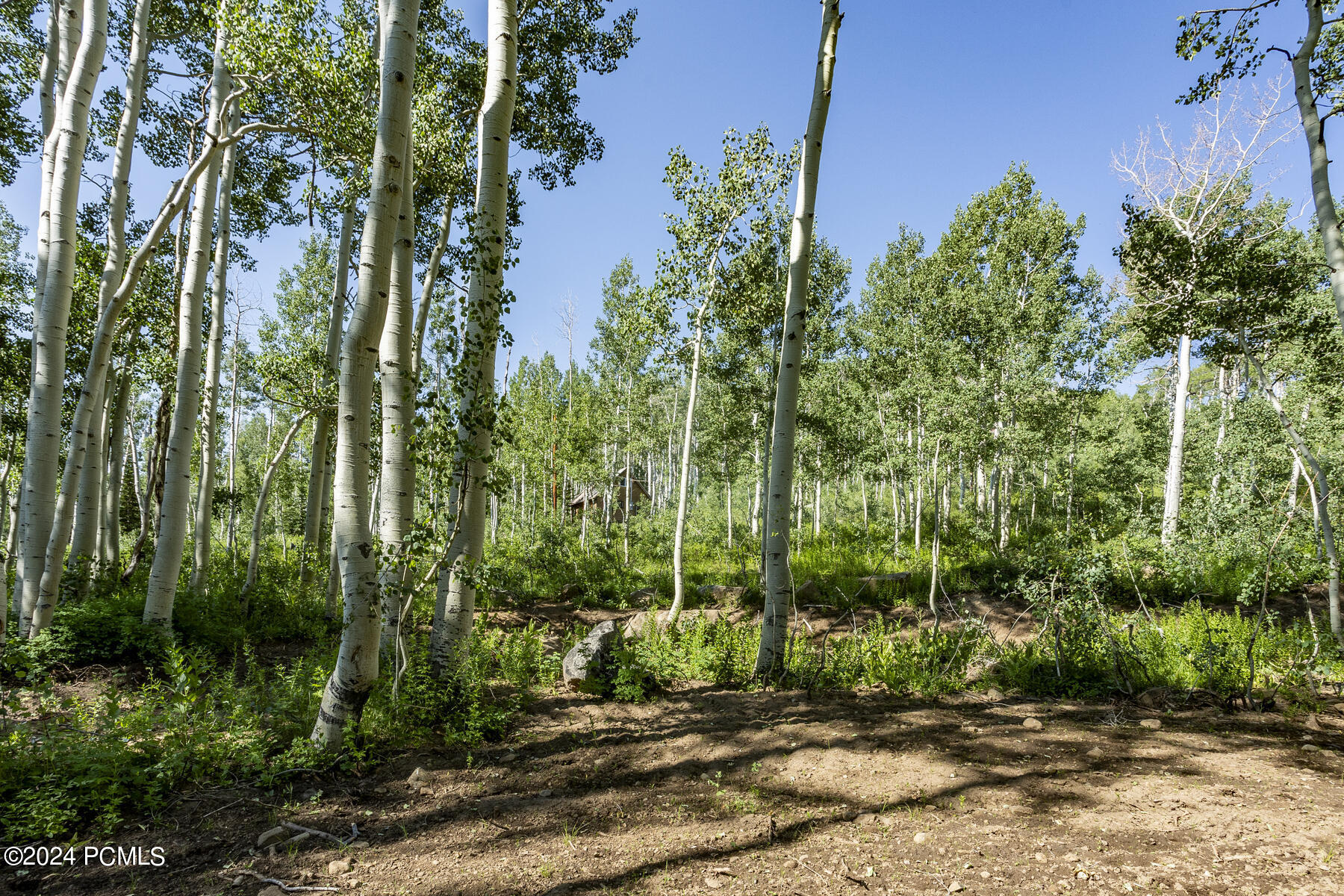 5156 N Pebble Drive, Midway, Utah image 7