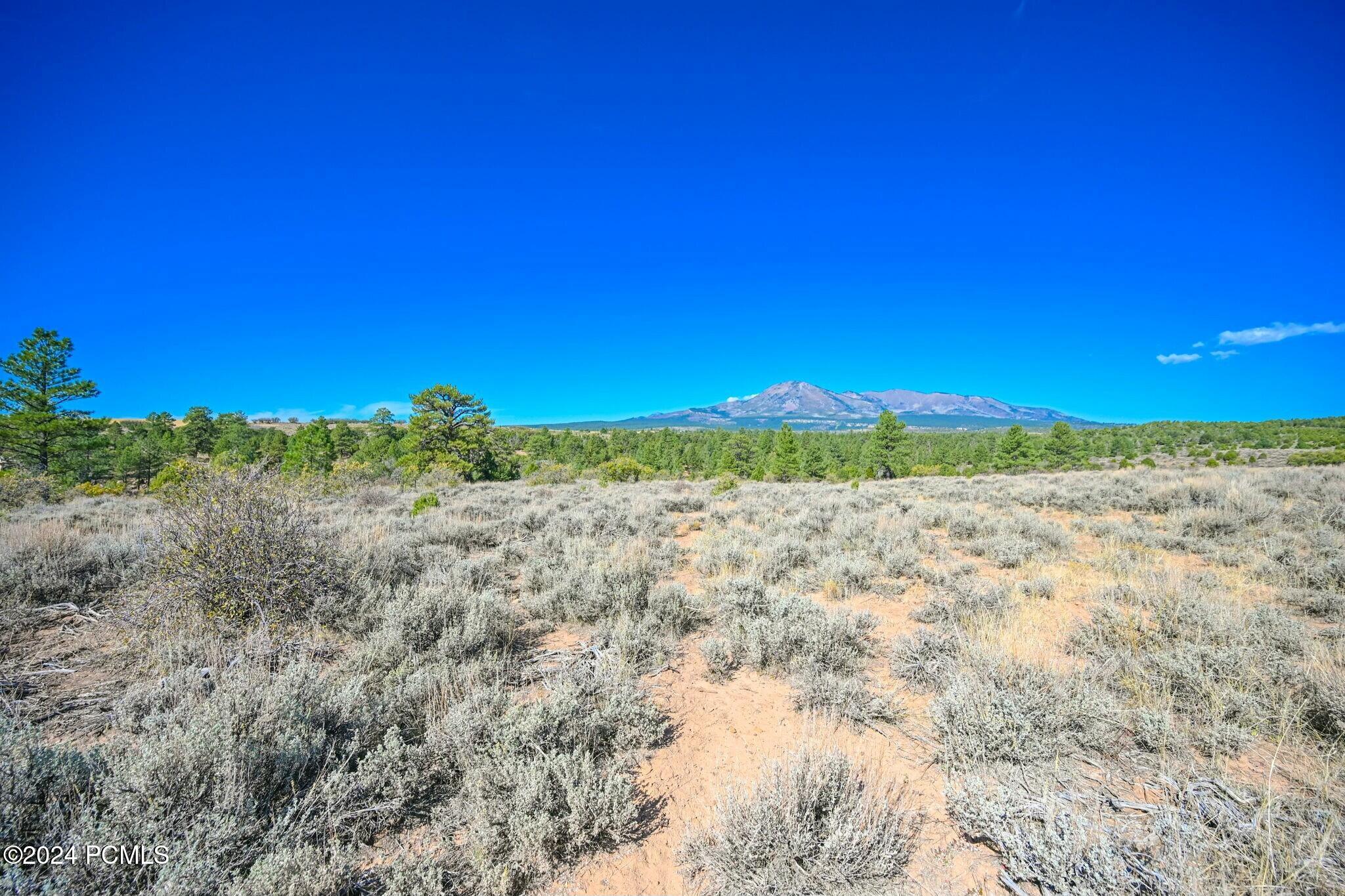 E Long Point Road, Monticello, Utah image 5