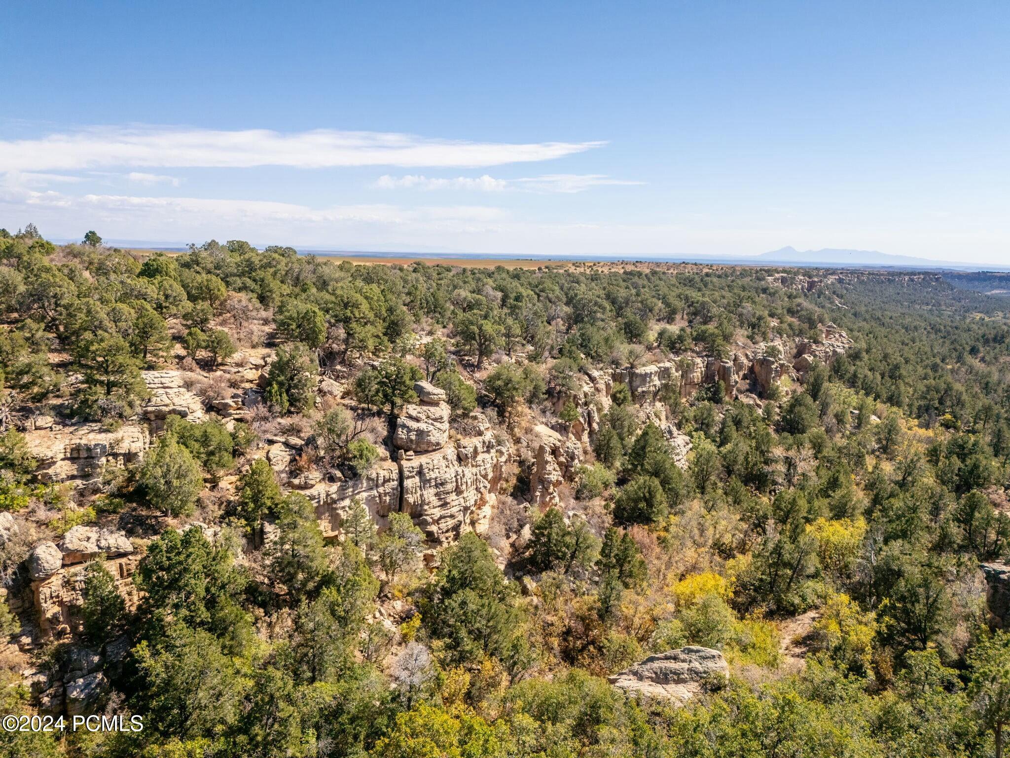 E Long Point Road, Monticello, Utah image 38