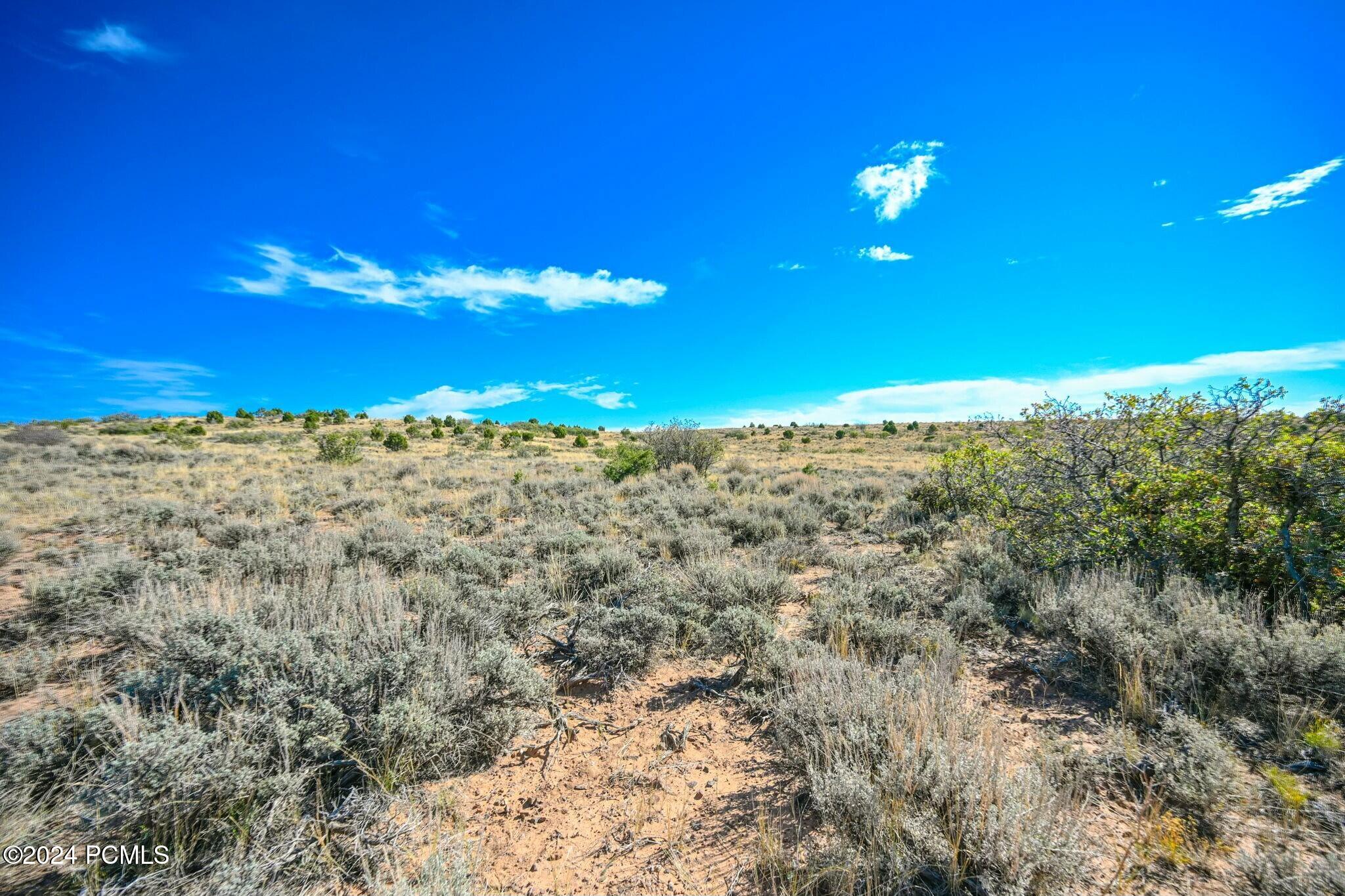 E Long Point Road, Monticello, Utah image 20