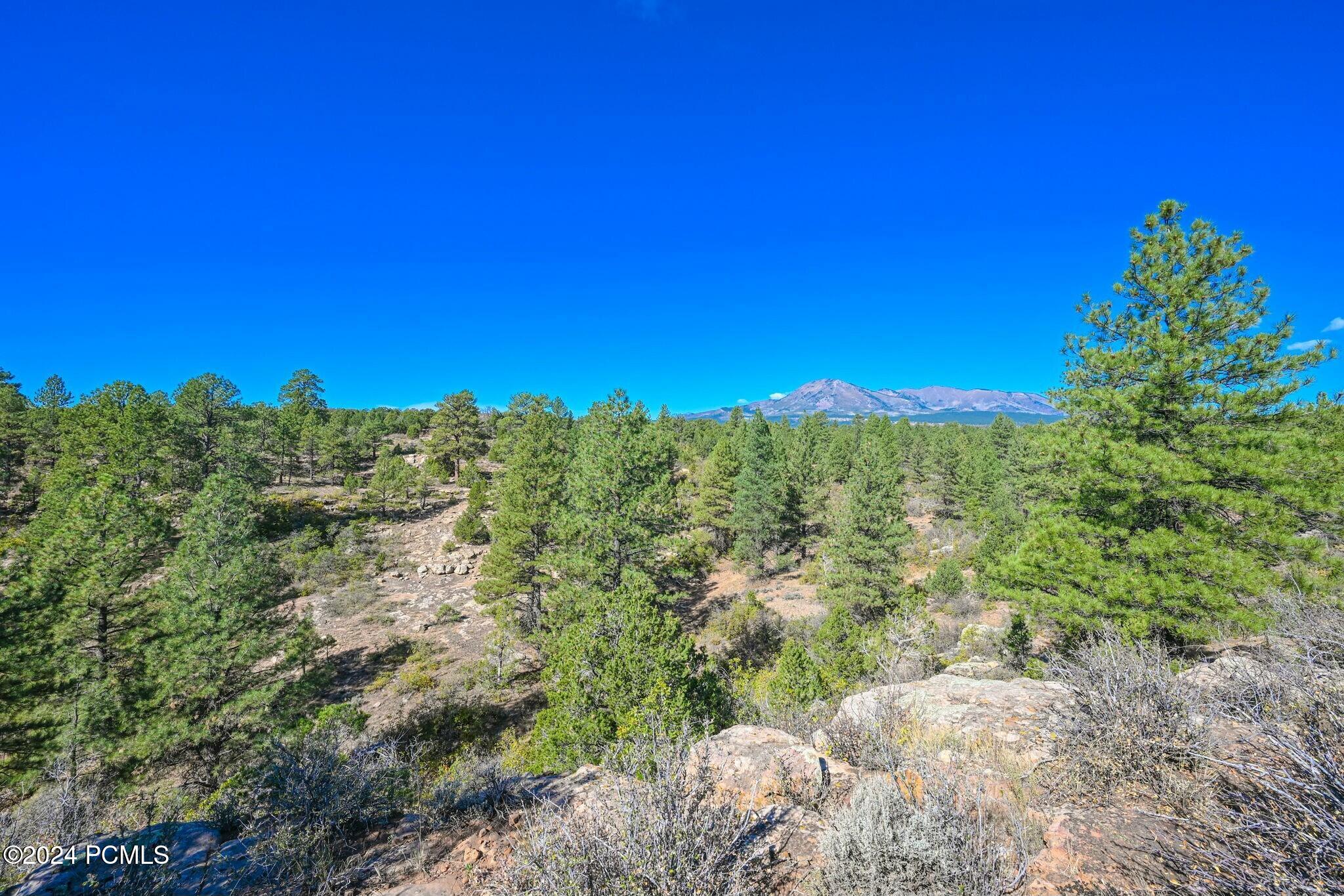 E Long Point Road, Monticello, Utah image 3