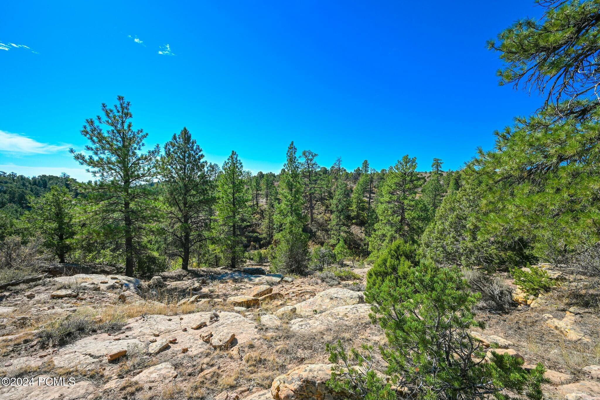 E Long Point Road, Monticello, Utah image 10