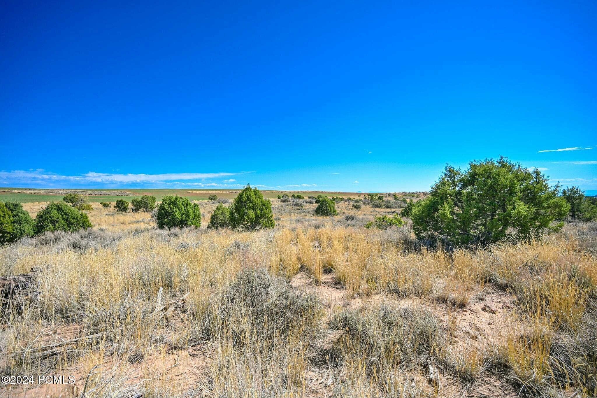 E Long Point Road, Monticello, Utah image 26