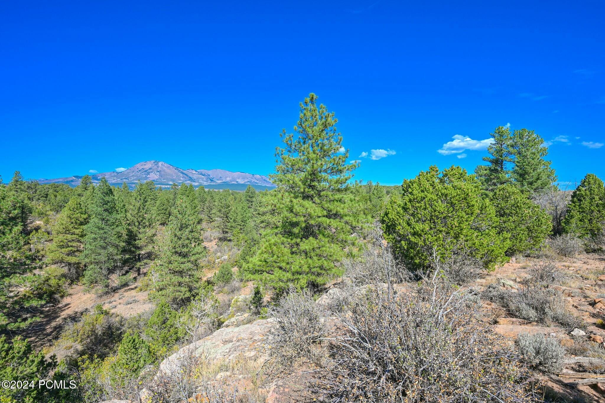 E Long Point Road, Monticello, Utah image 9