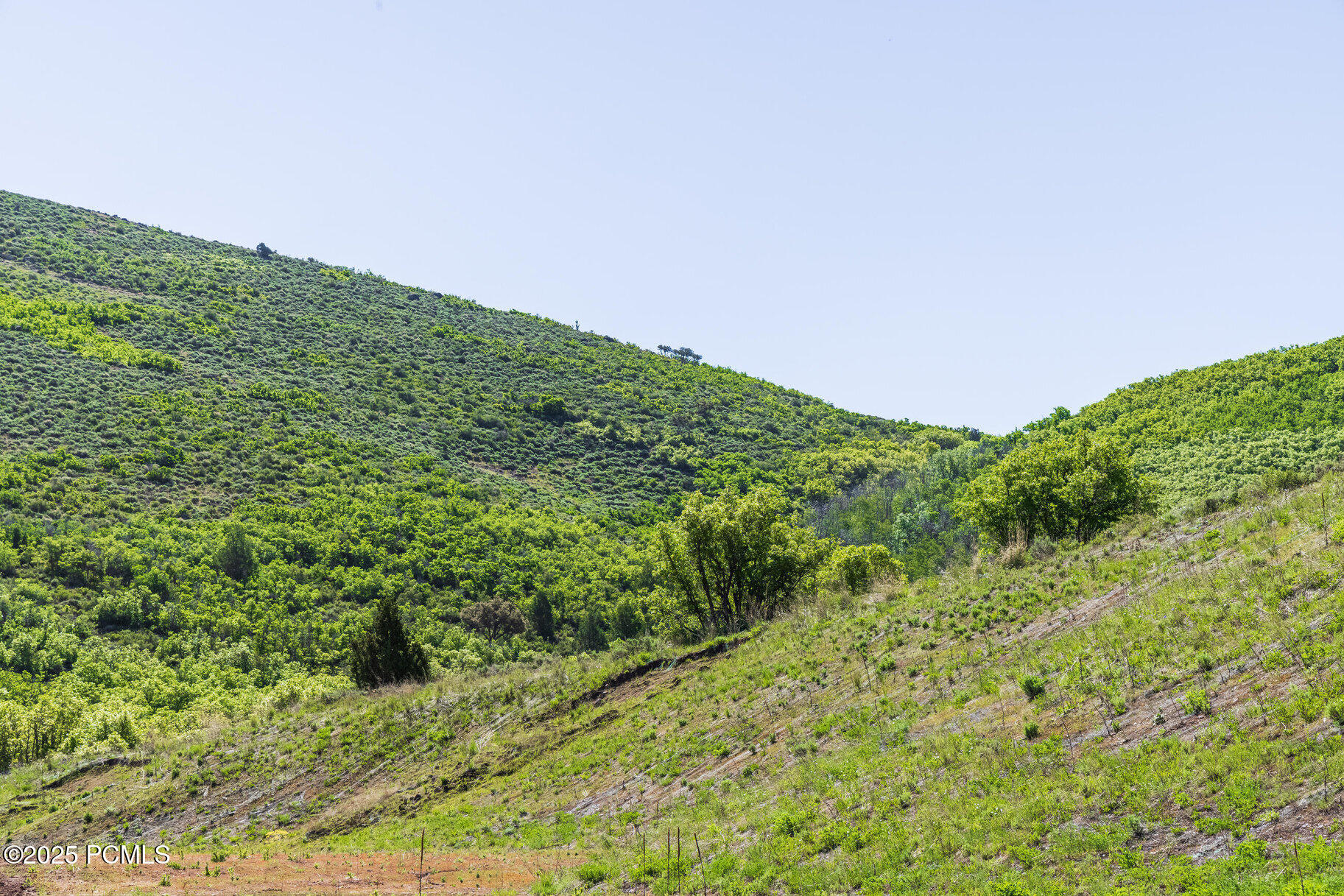 3956 E Harris Way, Heber City, Utah image 7