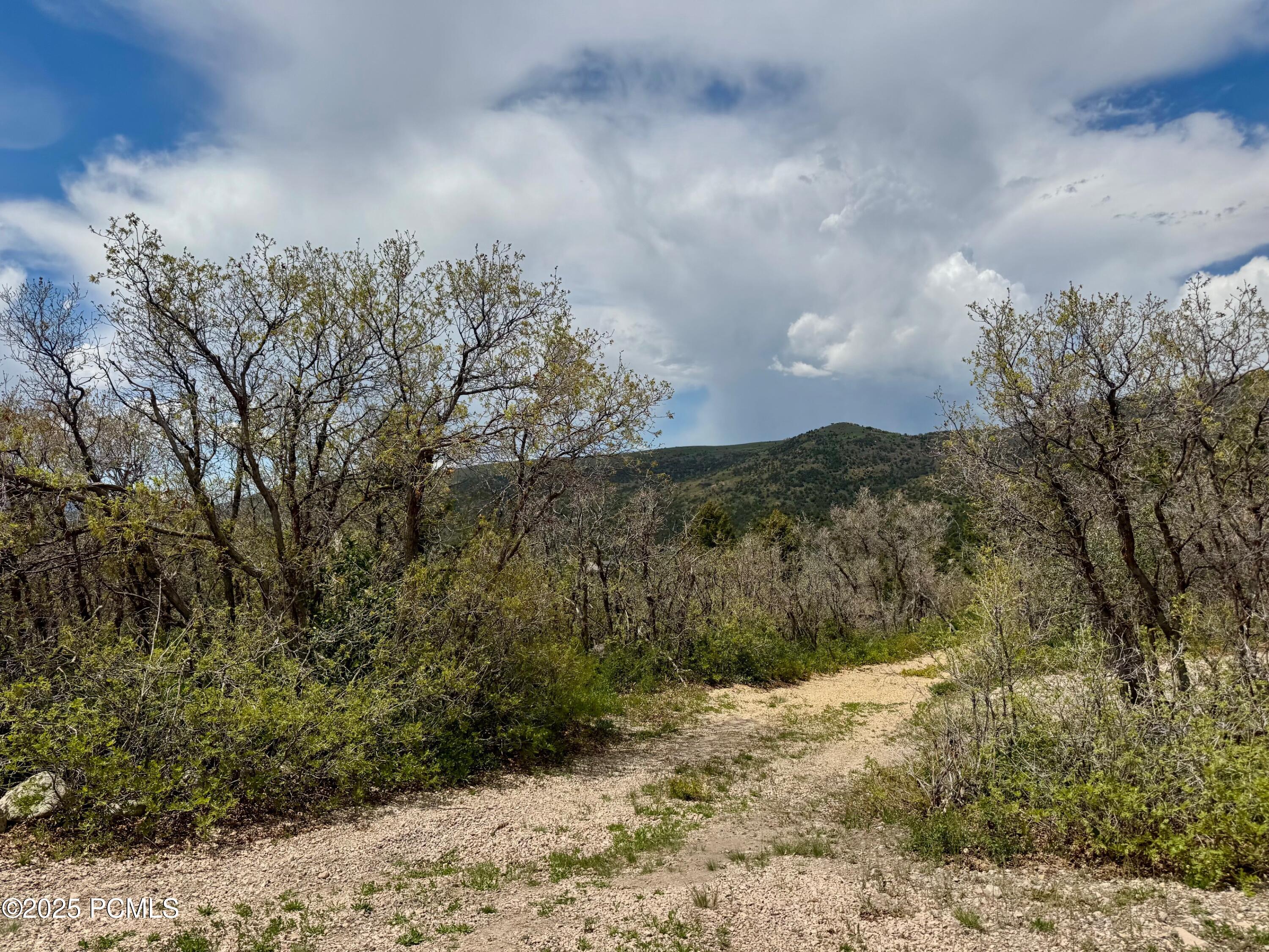 9395 Ridge Pine Drive, Heber City, Utah image 8