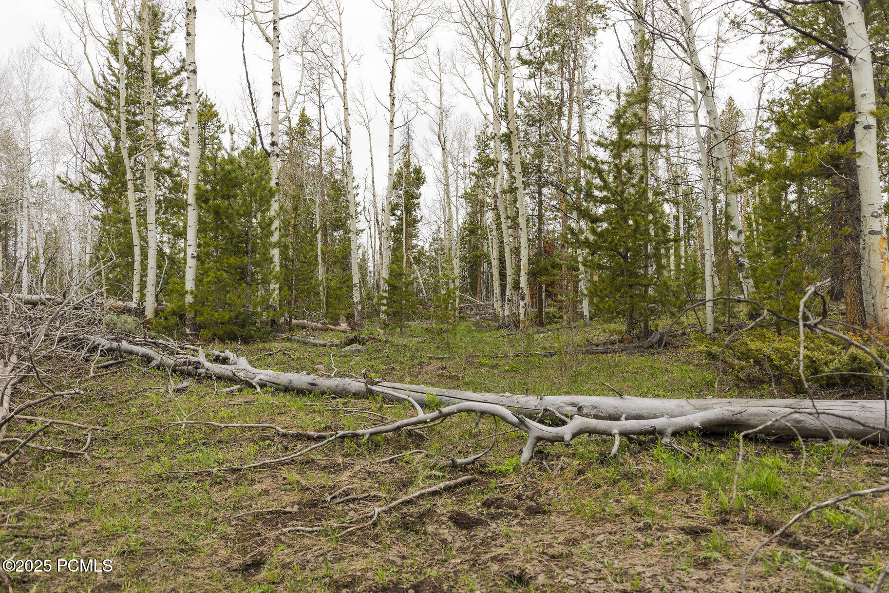 Lot 69a, Unita Shadows, Kamas, Utah image 9
