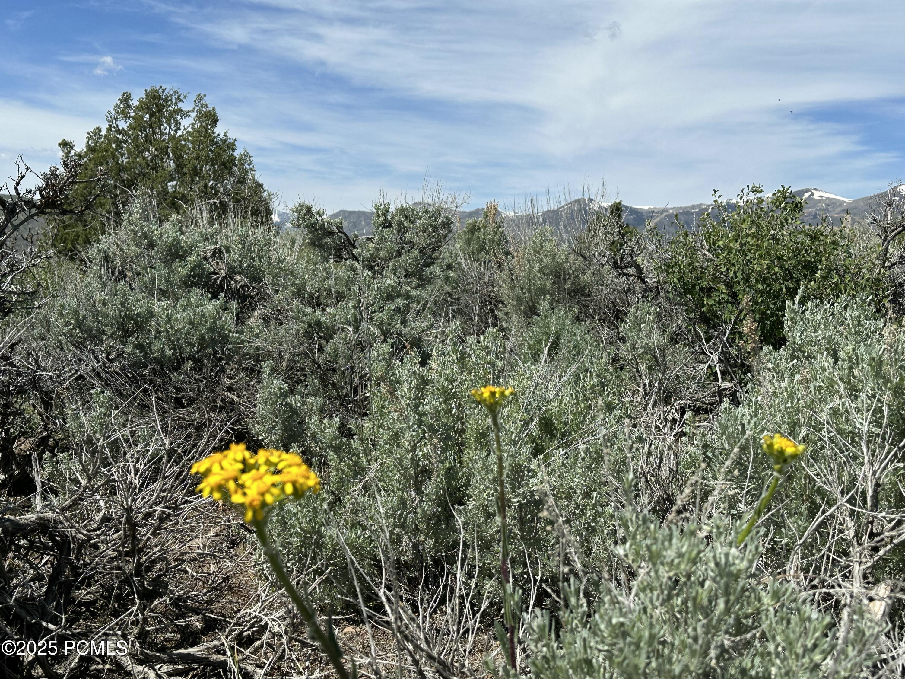 Kamas, Utah 84036, United States, ,Land,Active,77212