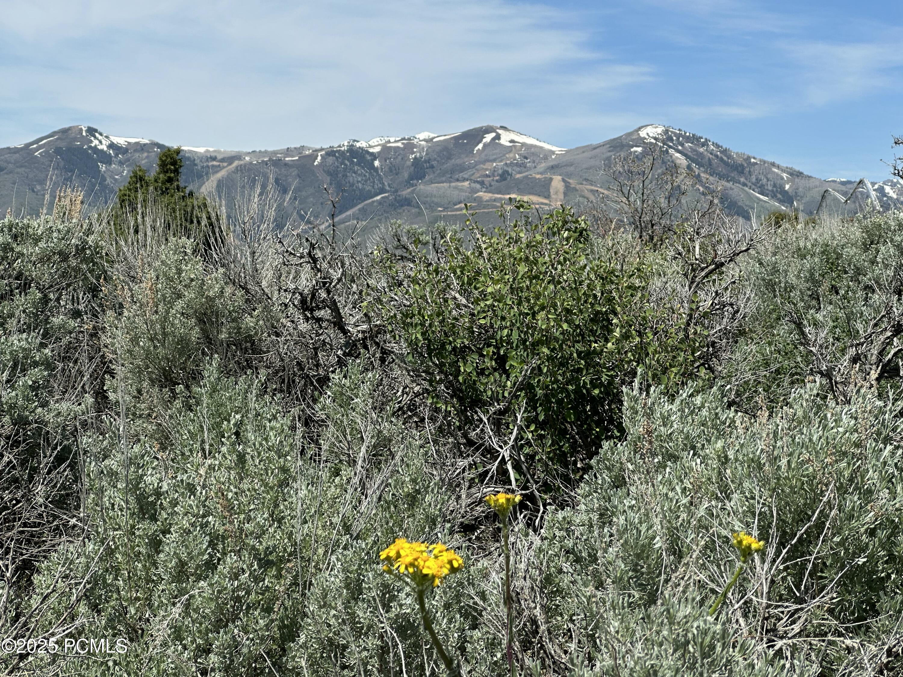 Kamas, Utah 84036, United States, ,Land,Active,77212