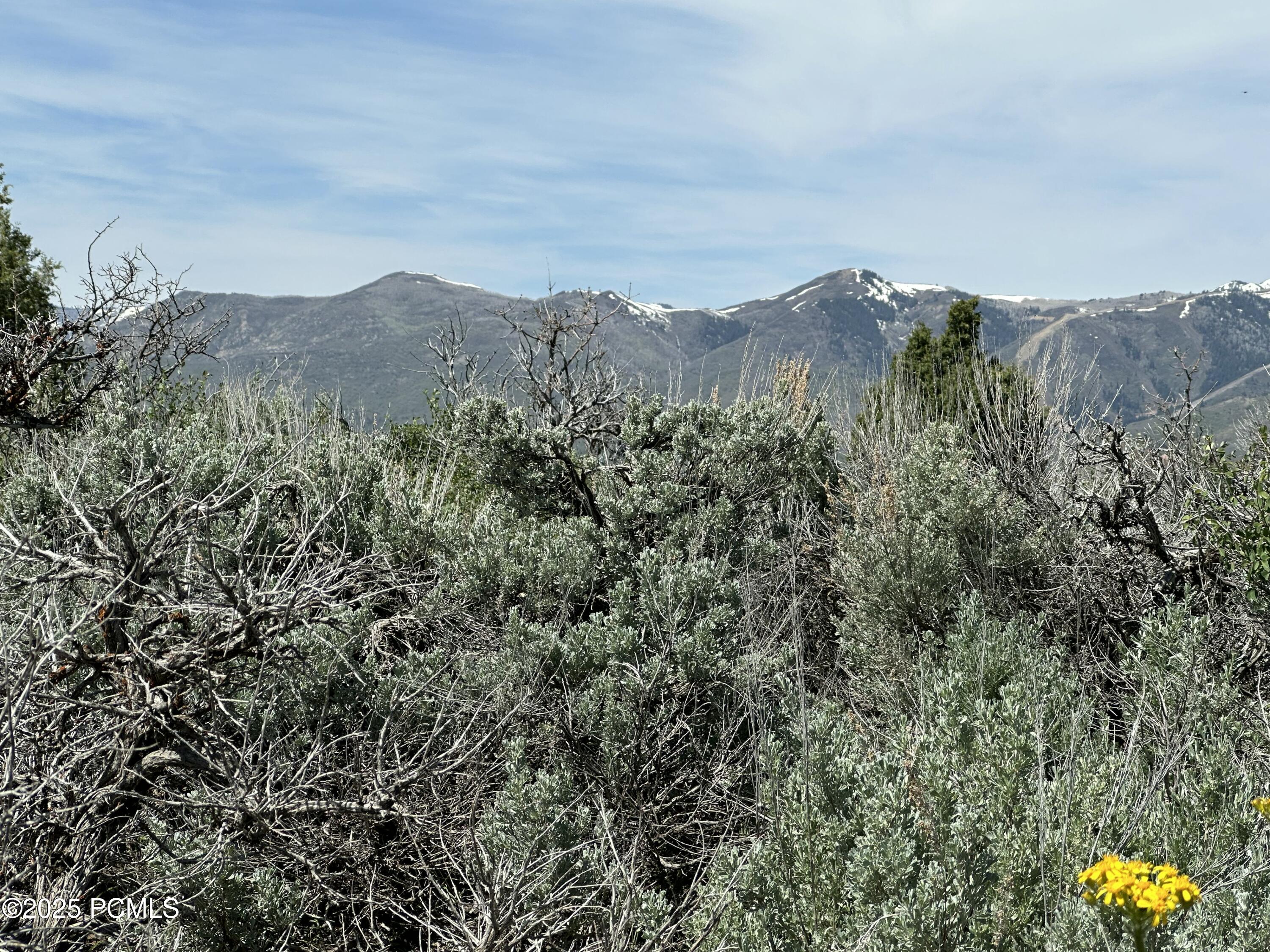 Kamas, Utah 84036, United States, ,Land,Active,77212