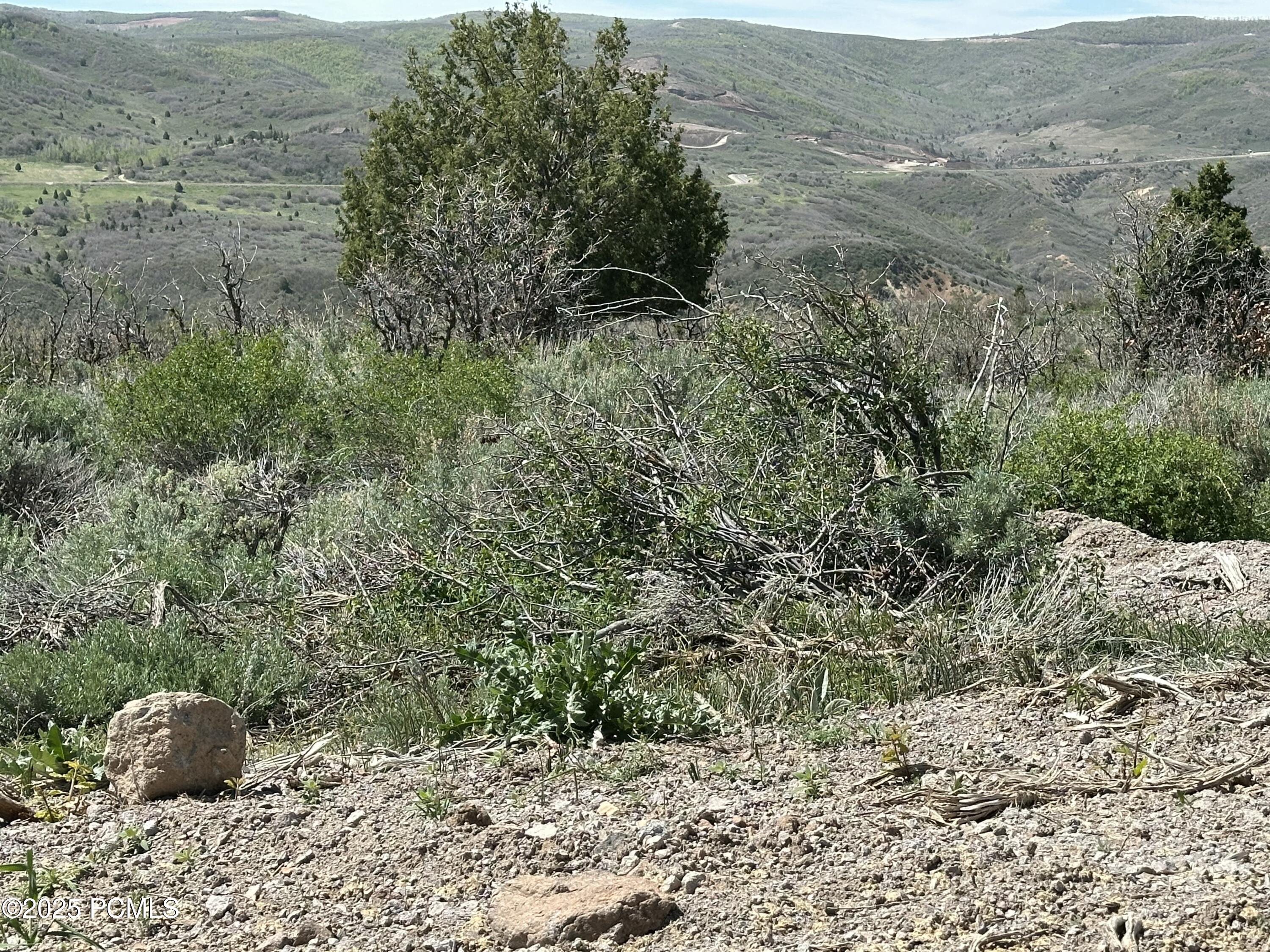 Kamas, Utah 84036, United States, ,Land,Active,77212