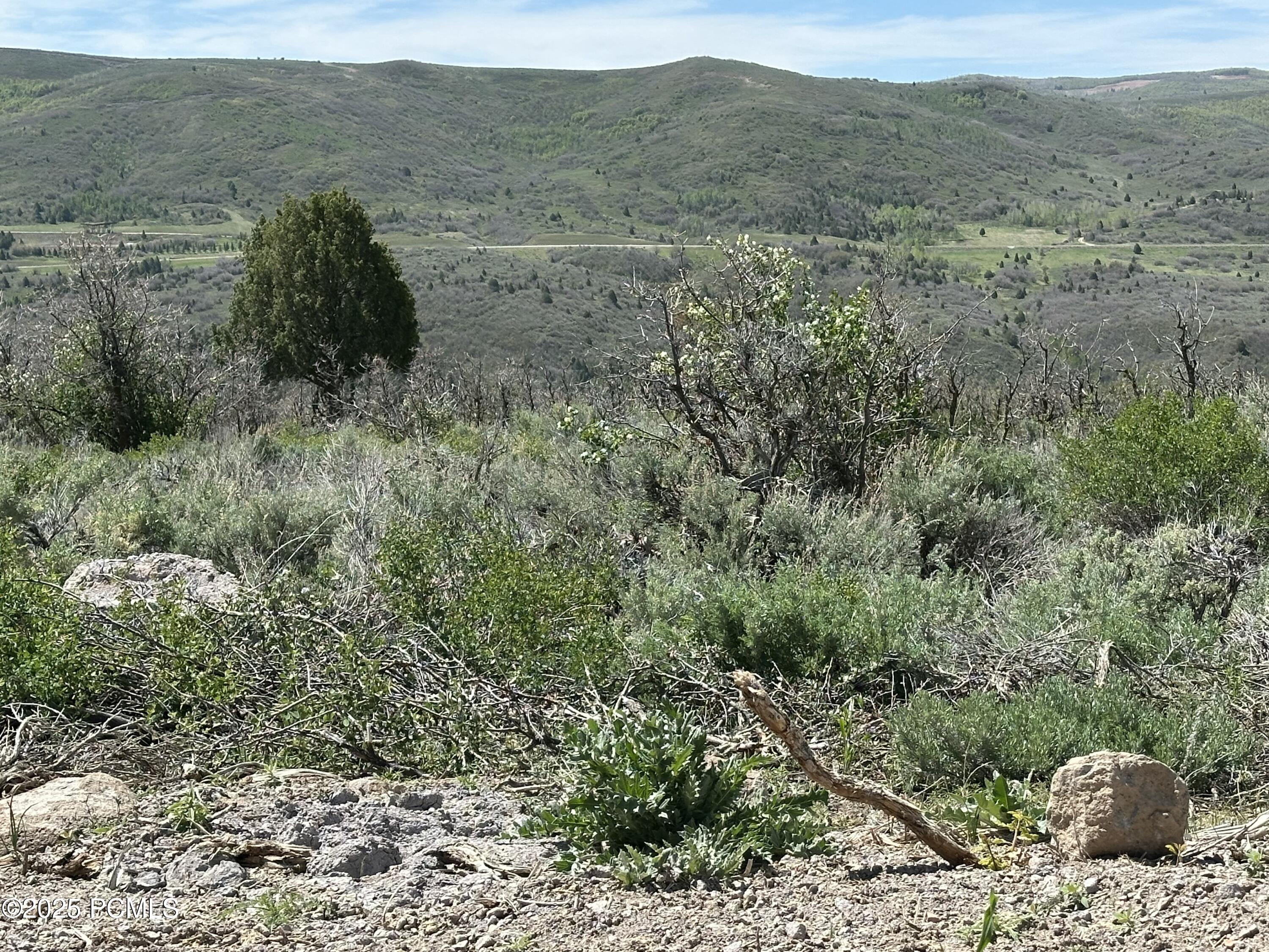 Kamas, Utah 84036, United States, ,Land,Active,77212
