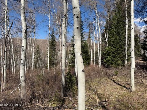 Vacant Land For Sale - 5209 White Pine Circle<br/> Oakley, UT 84055