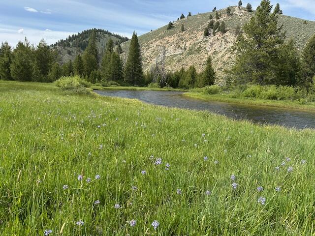Valley Creek, upstream