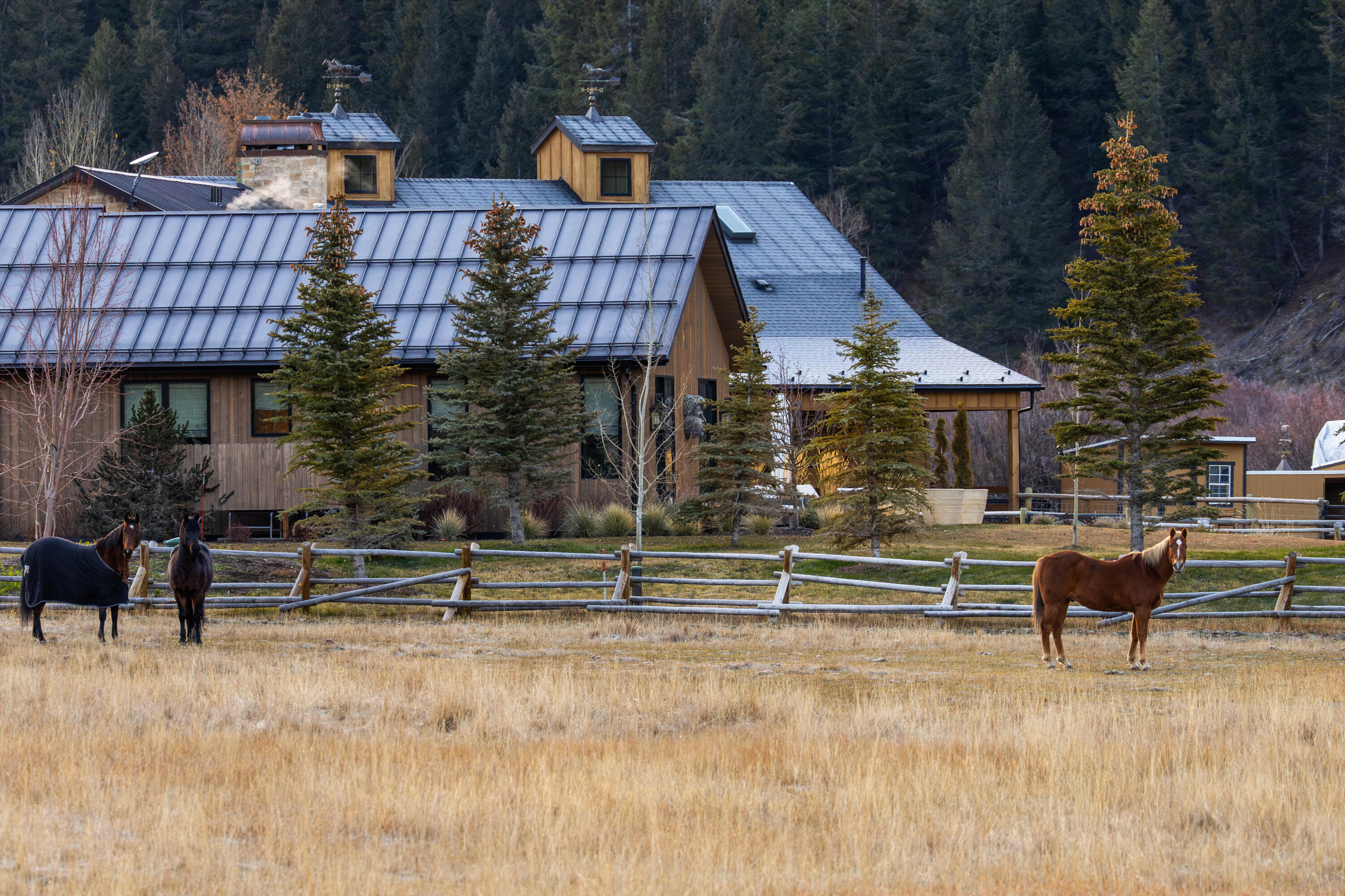 Fenced Pasture
