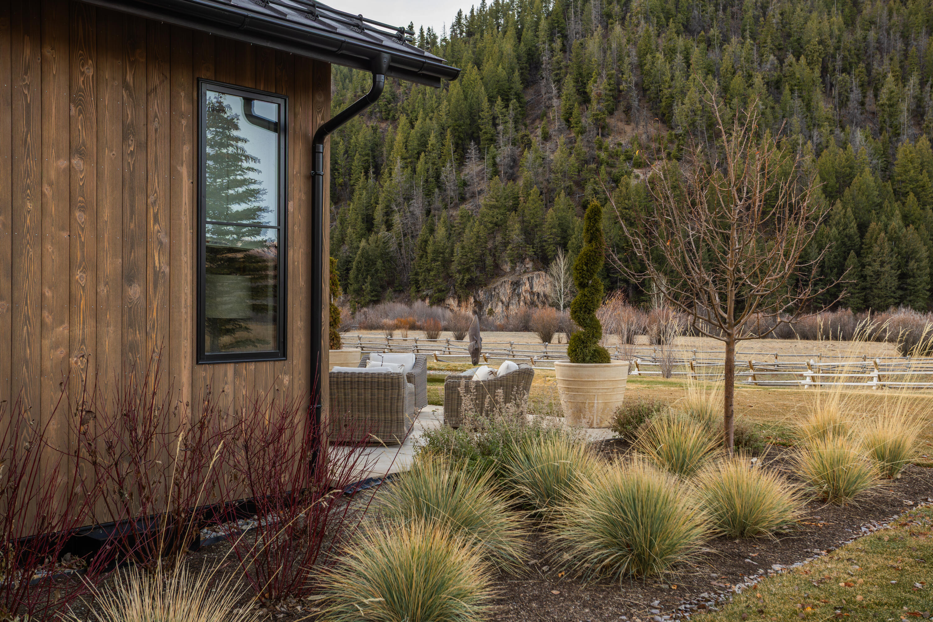 Side Yard