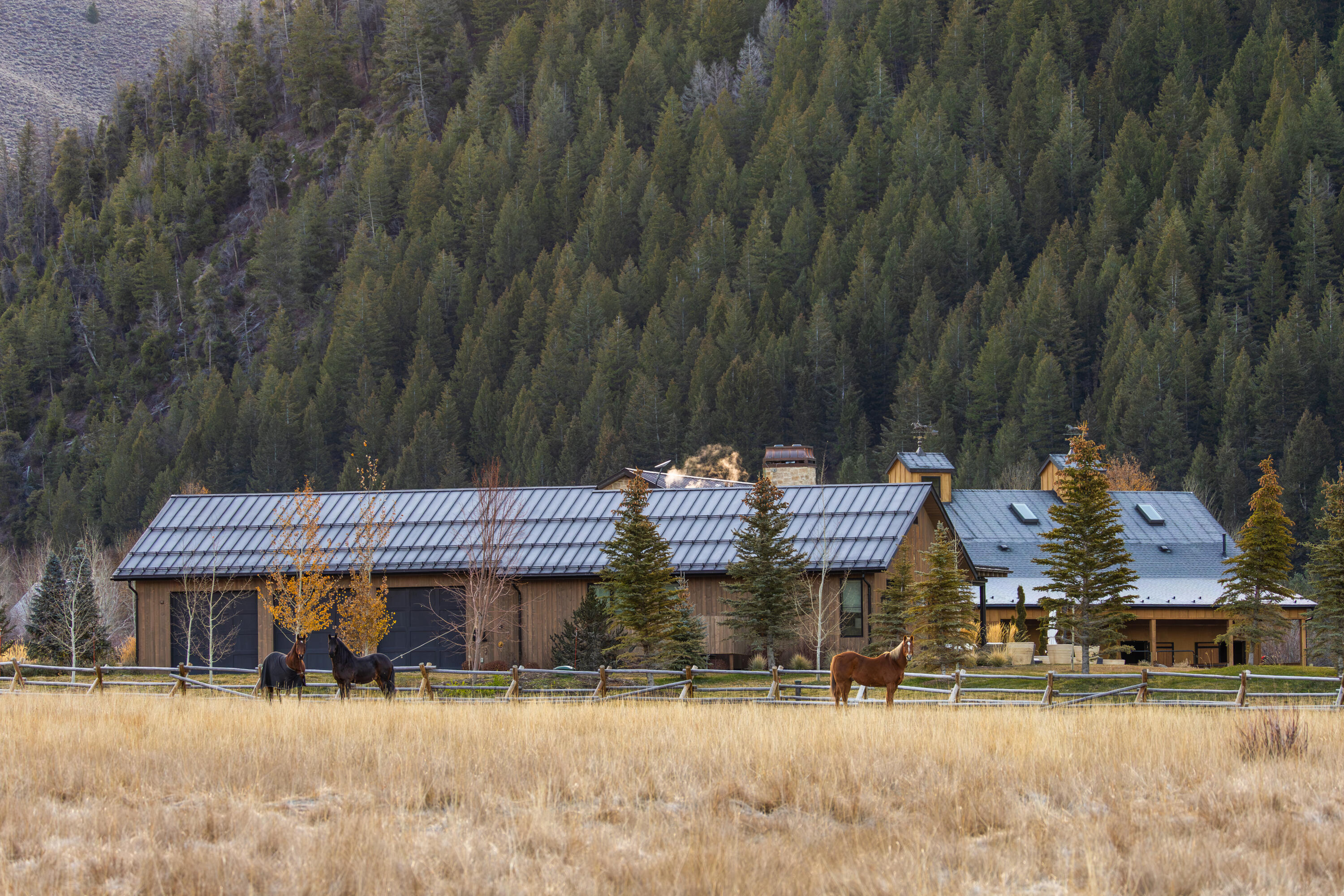 Fenced Pasture