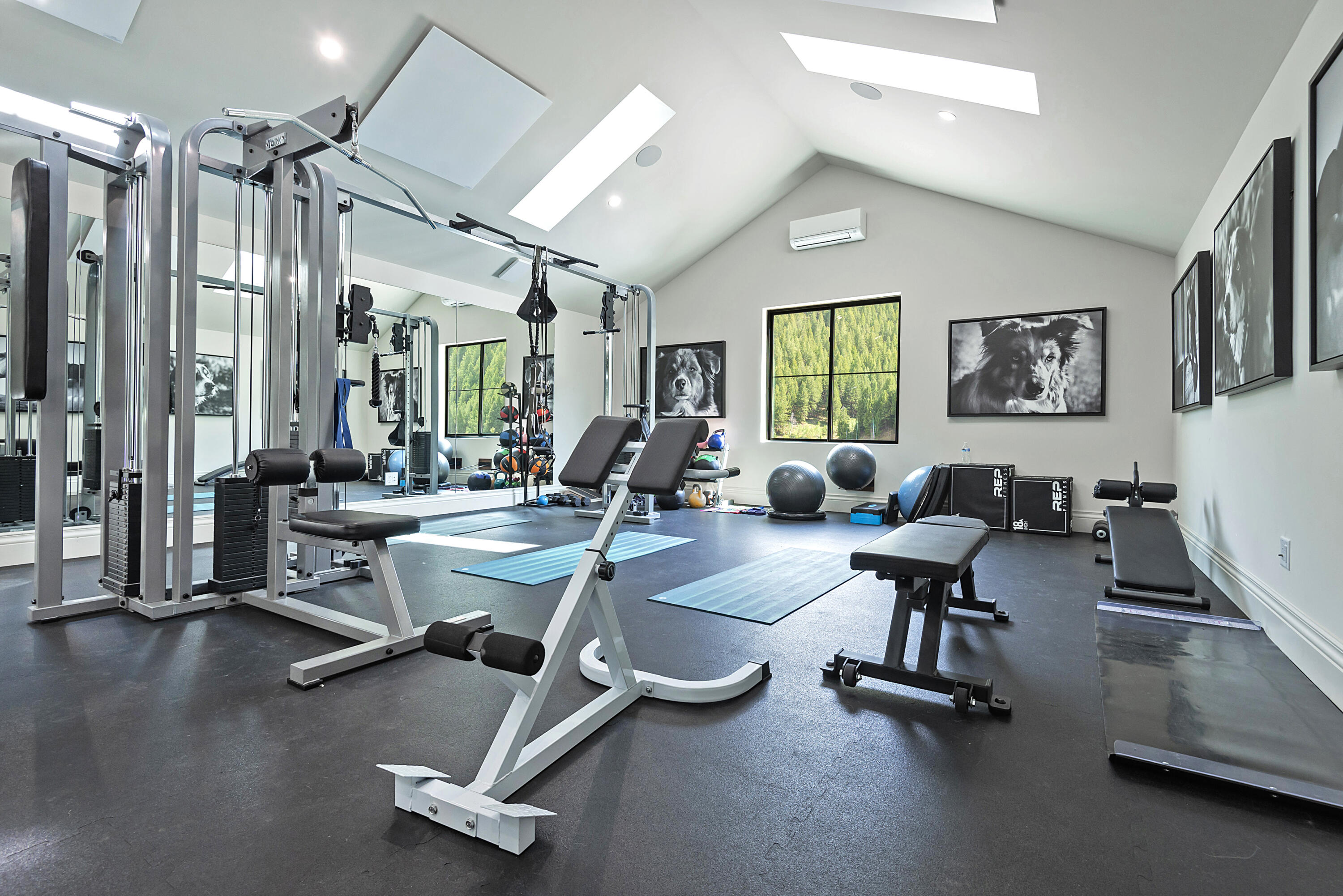 Loft/Gym in Barn