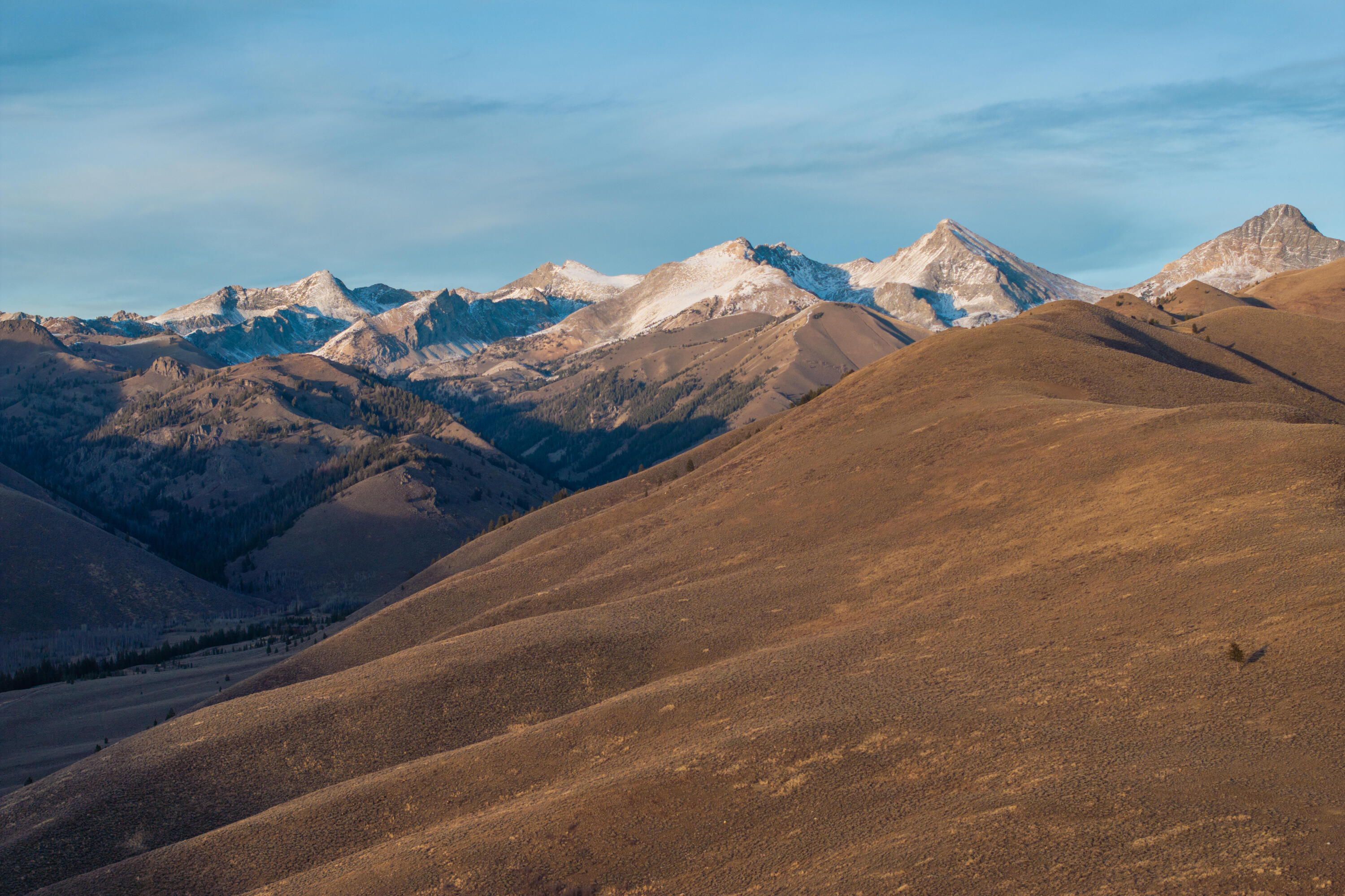 Pioneer Mountains