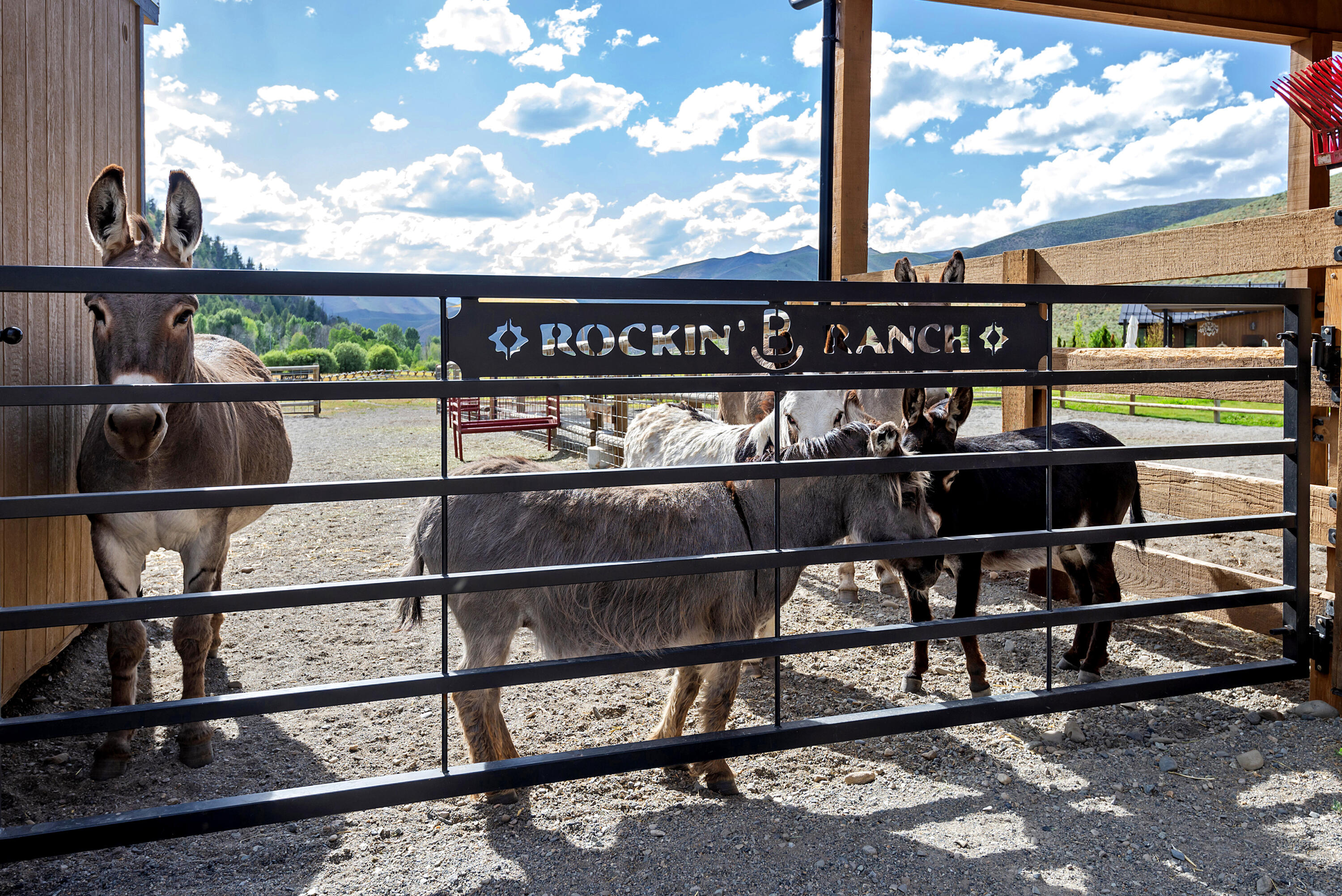 Rockin' B Ranch