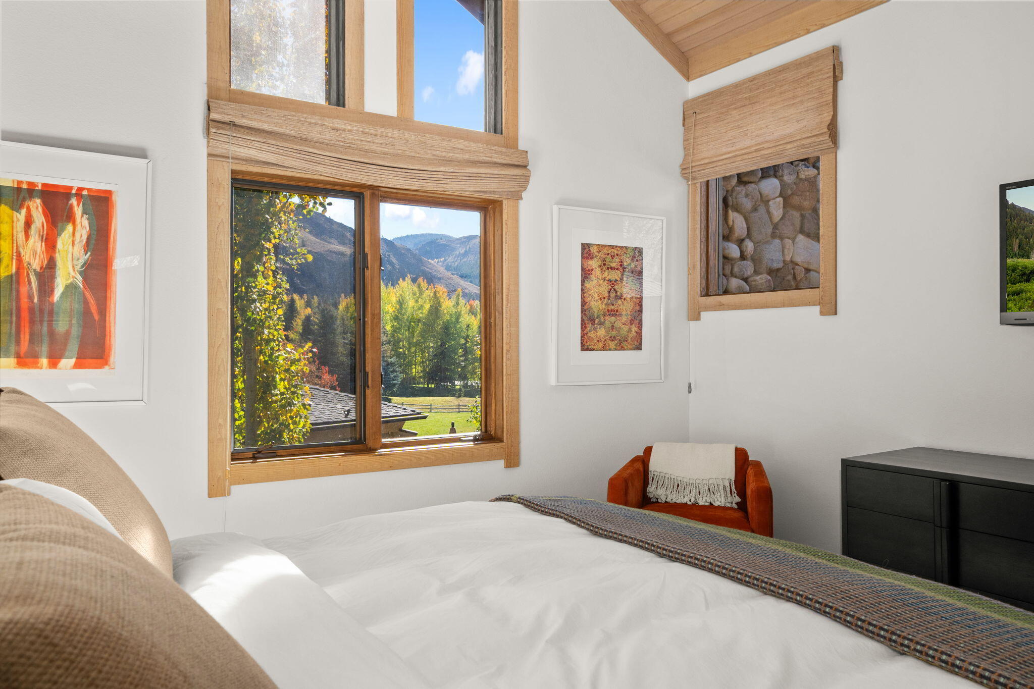 Mountain View from Primary