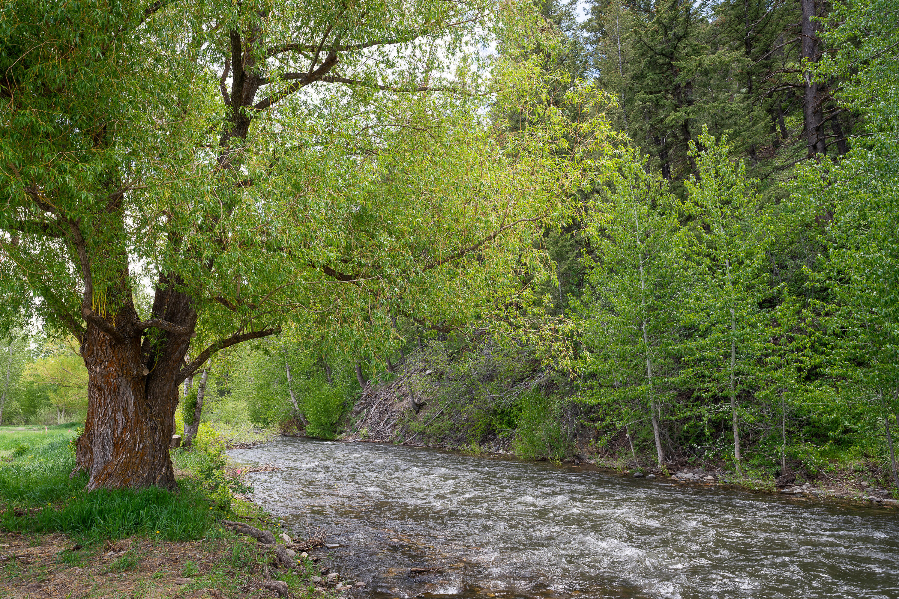 125 Mountain Crk Dr, Ketchum, Idaho image 9