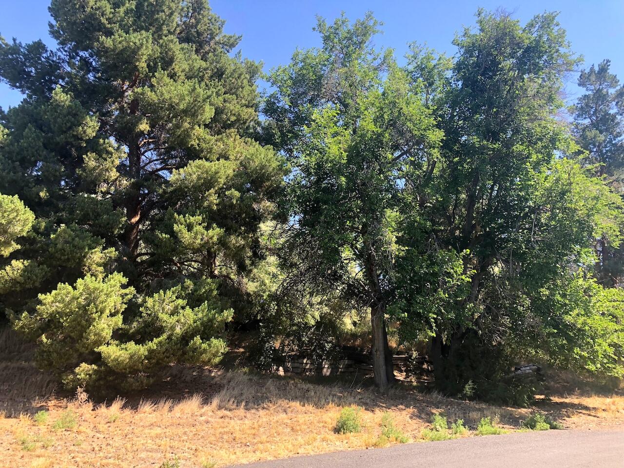 Lot 32 A/B Riverside Lane, Gooding, Idaho image 12