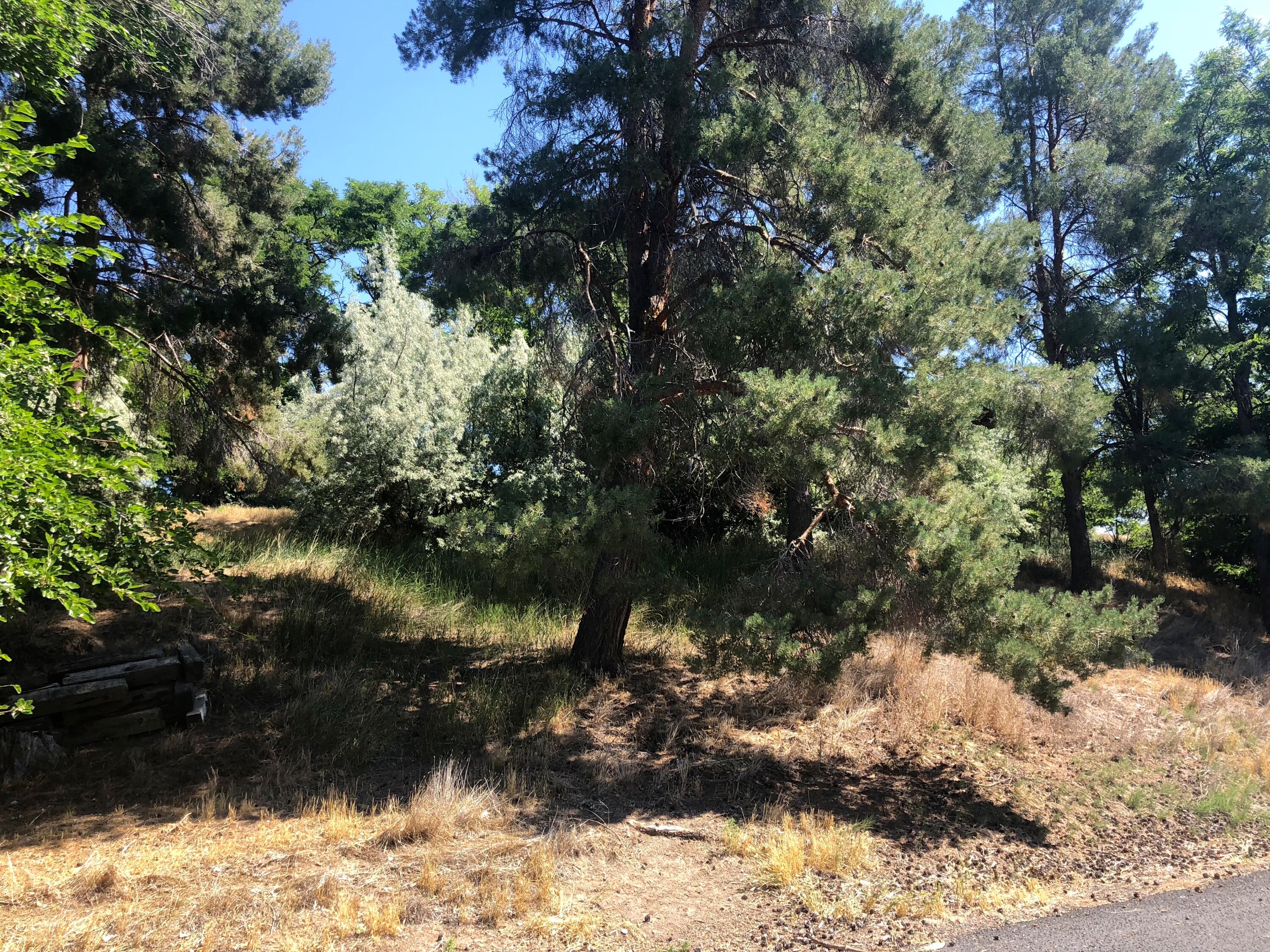 Lot 32 A/B Riverside Lane, Gooding, Idaho image 13