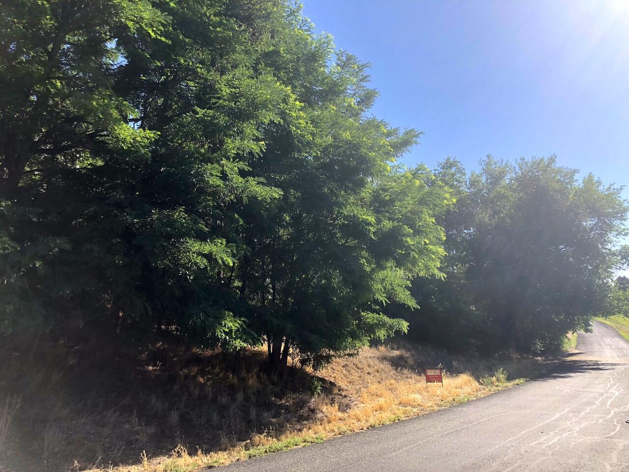 Lot 32 A/B Riverside Lane, Gooding, Idaho image 14