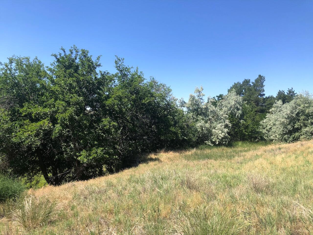 Lot 32 A/B Riverside Lane, Gooding, Idaho image 9