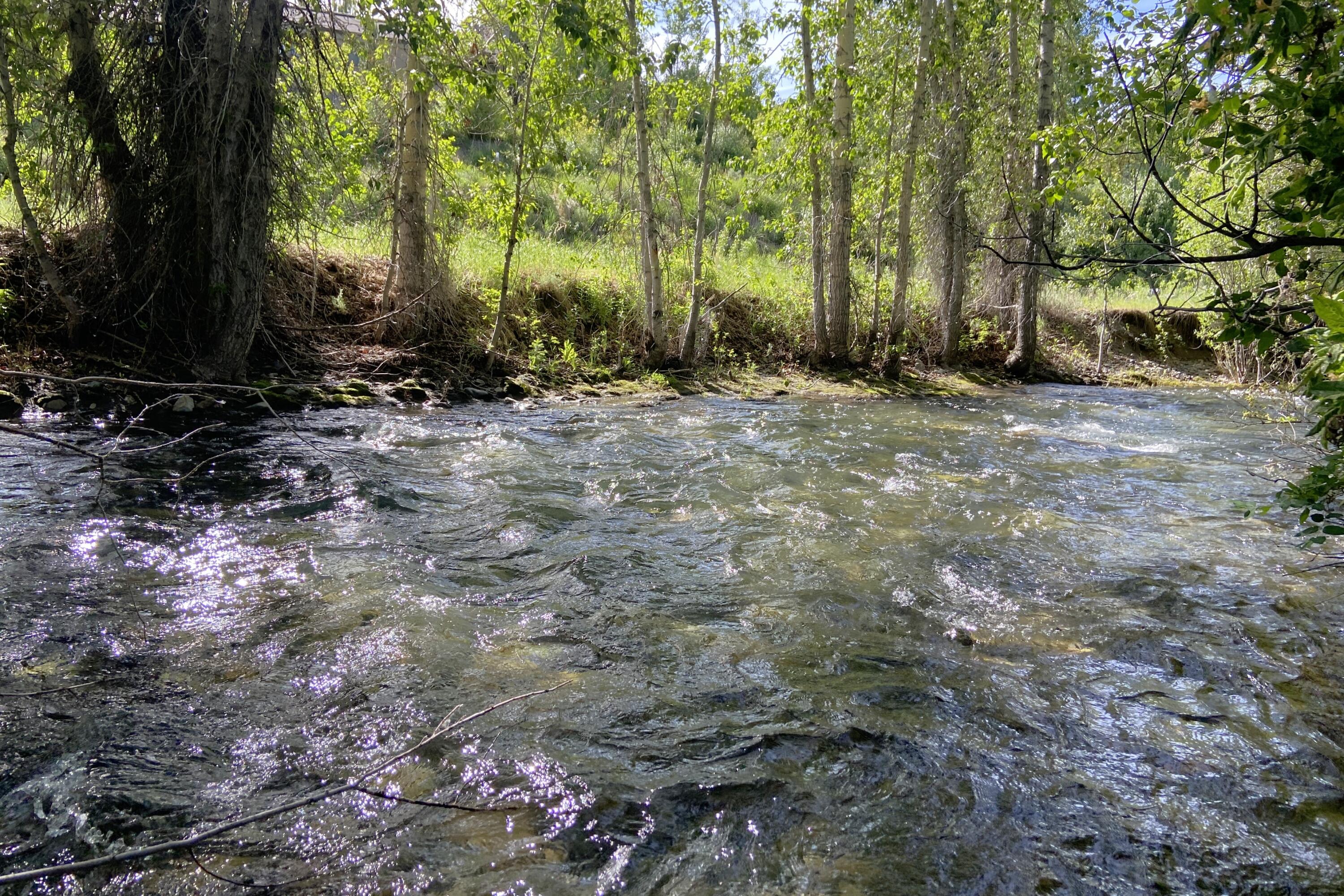 Sun Valley, Idaho 83353, United States, 2 Bedrooms Bedrooms, ,2 BathroomsBathrooms,Residential,Pending,53393