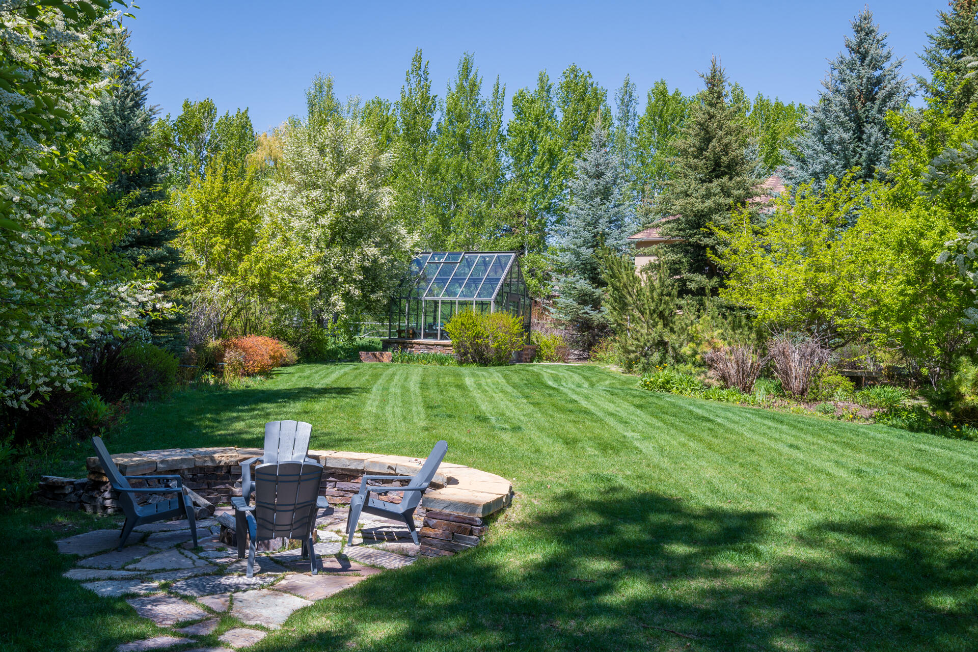 Huge Yard with Fruit Trees