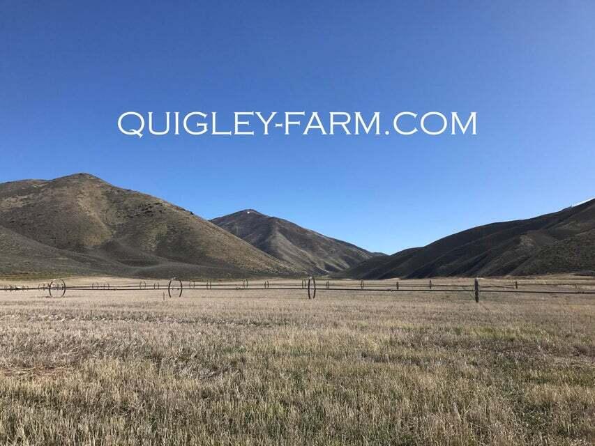 TBD Quigley Farm Road, Hailey, Idaho image 2