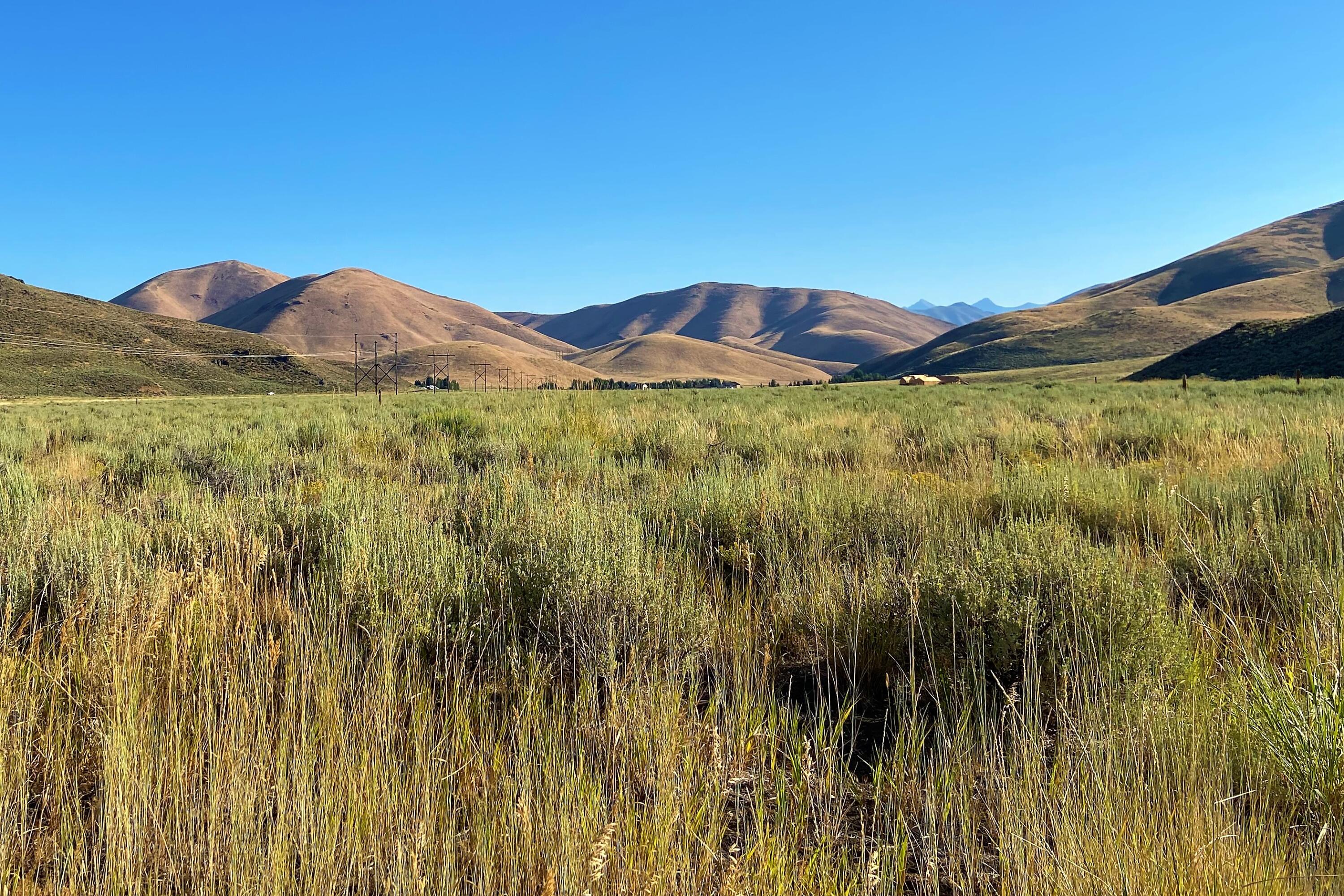 Blaine County, Idaho 83333, United States, ,Land,Pending,26009