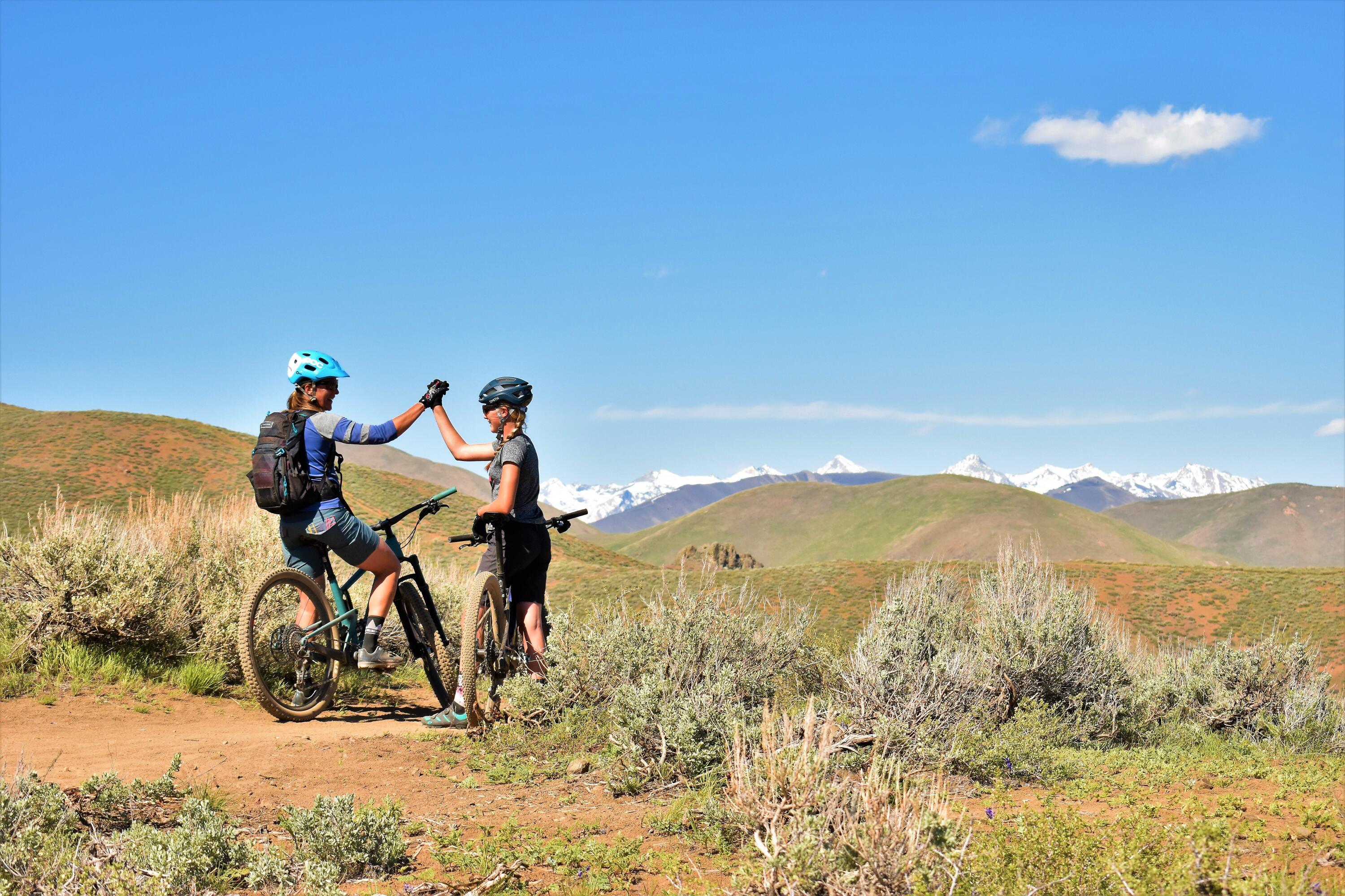 Blaine County, Idaho 83333, United States, ,Land,Pending,26009