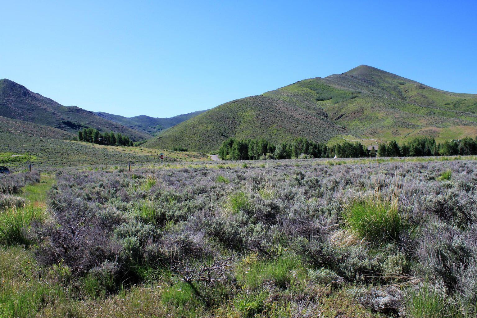 Blaine County, Idaho 83333, United States, ,Land,Pending,26009