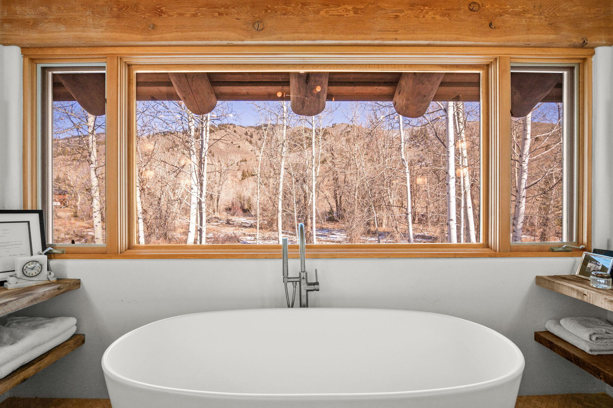 View from Primary Bath