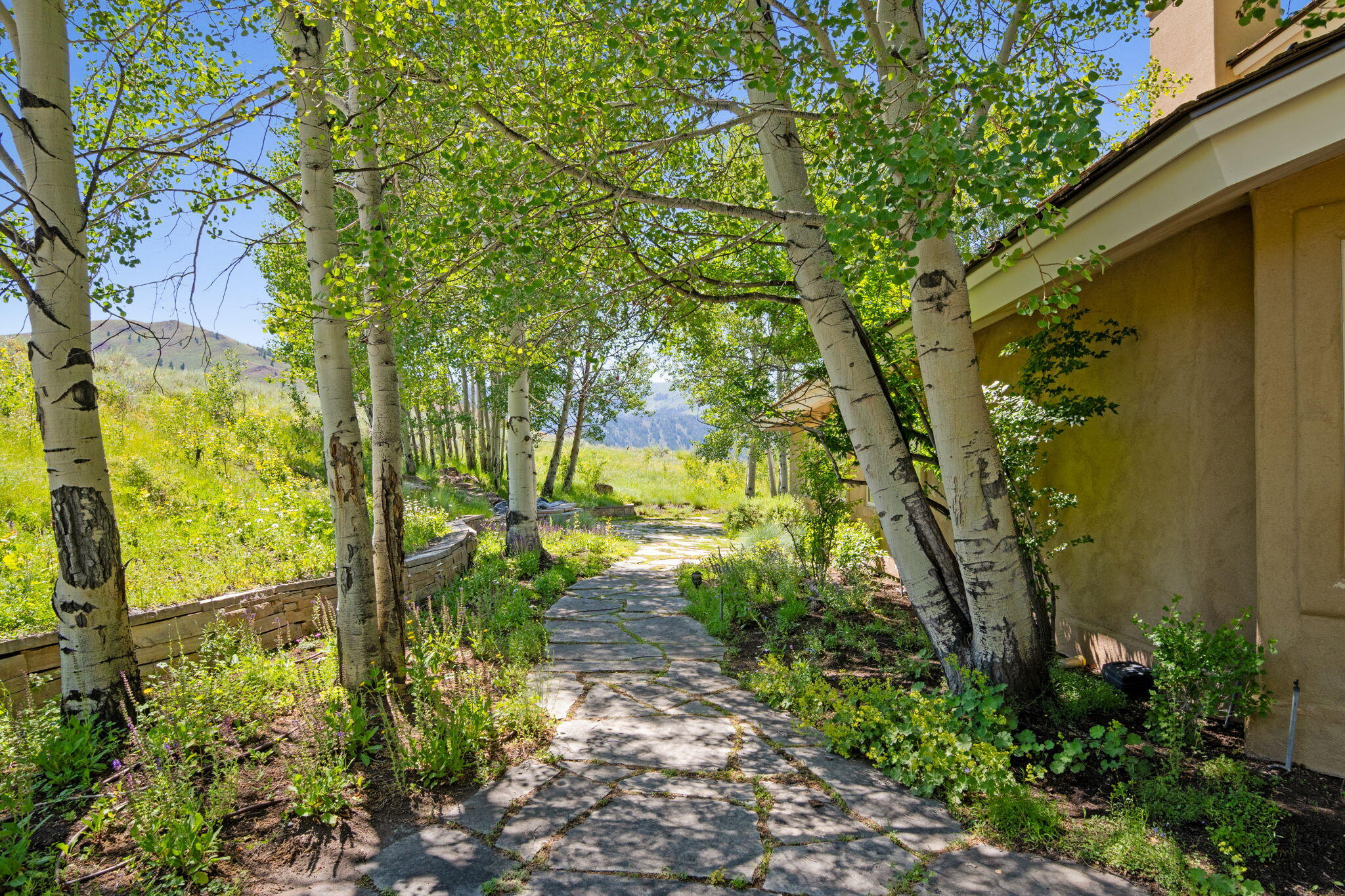 Sun Valley, Idaho 83353, United States, 5 Bedrooms Bedrooms, ,5 BathroomsBathrooms,Residential,Active,183044