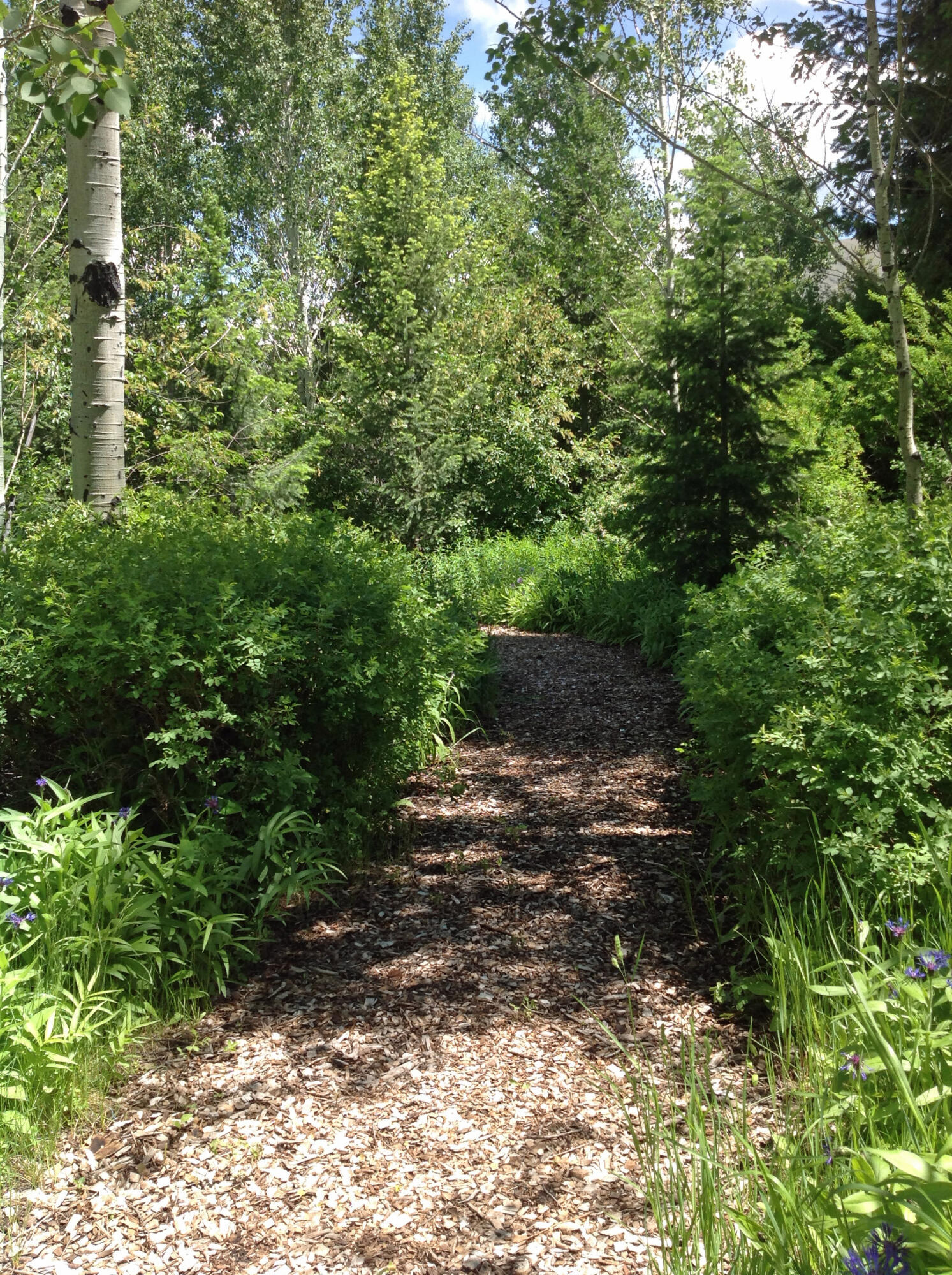 Walking trails